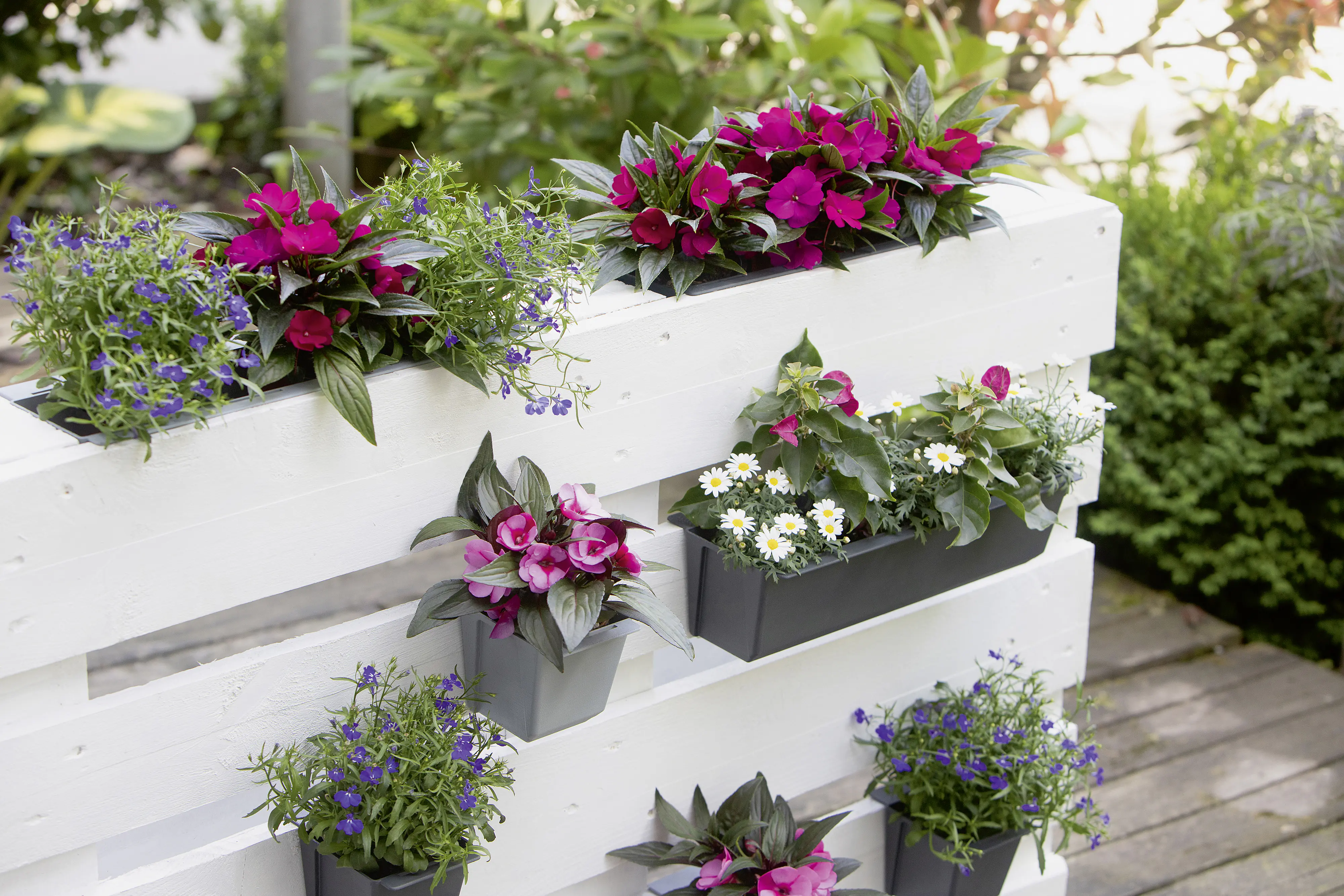 Geli Pflanztopf Easy 37 x 10 cm anthrazit für Europalette