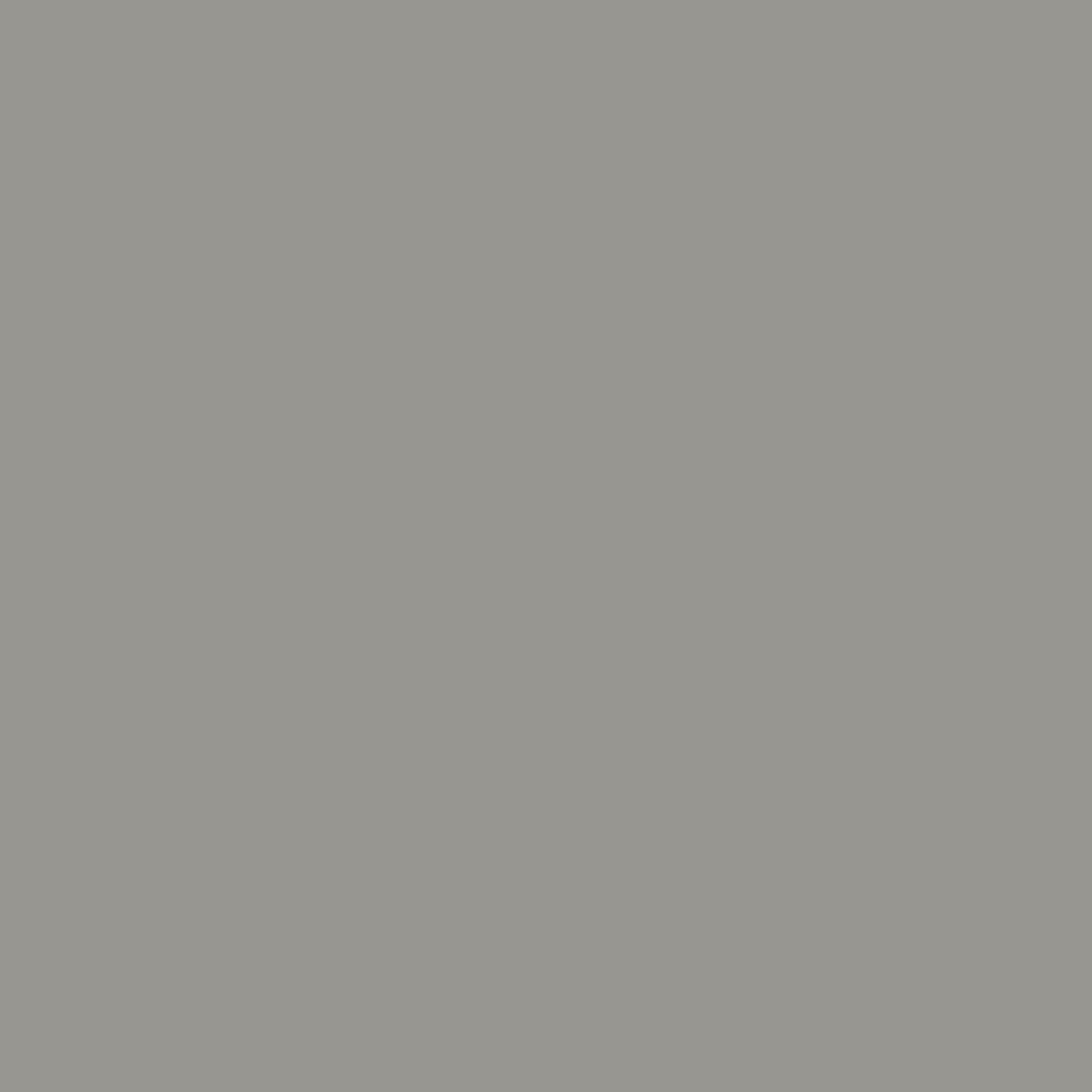 Duni Servietten grau 24 x 24 cm - 20er Pack