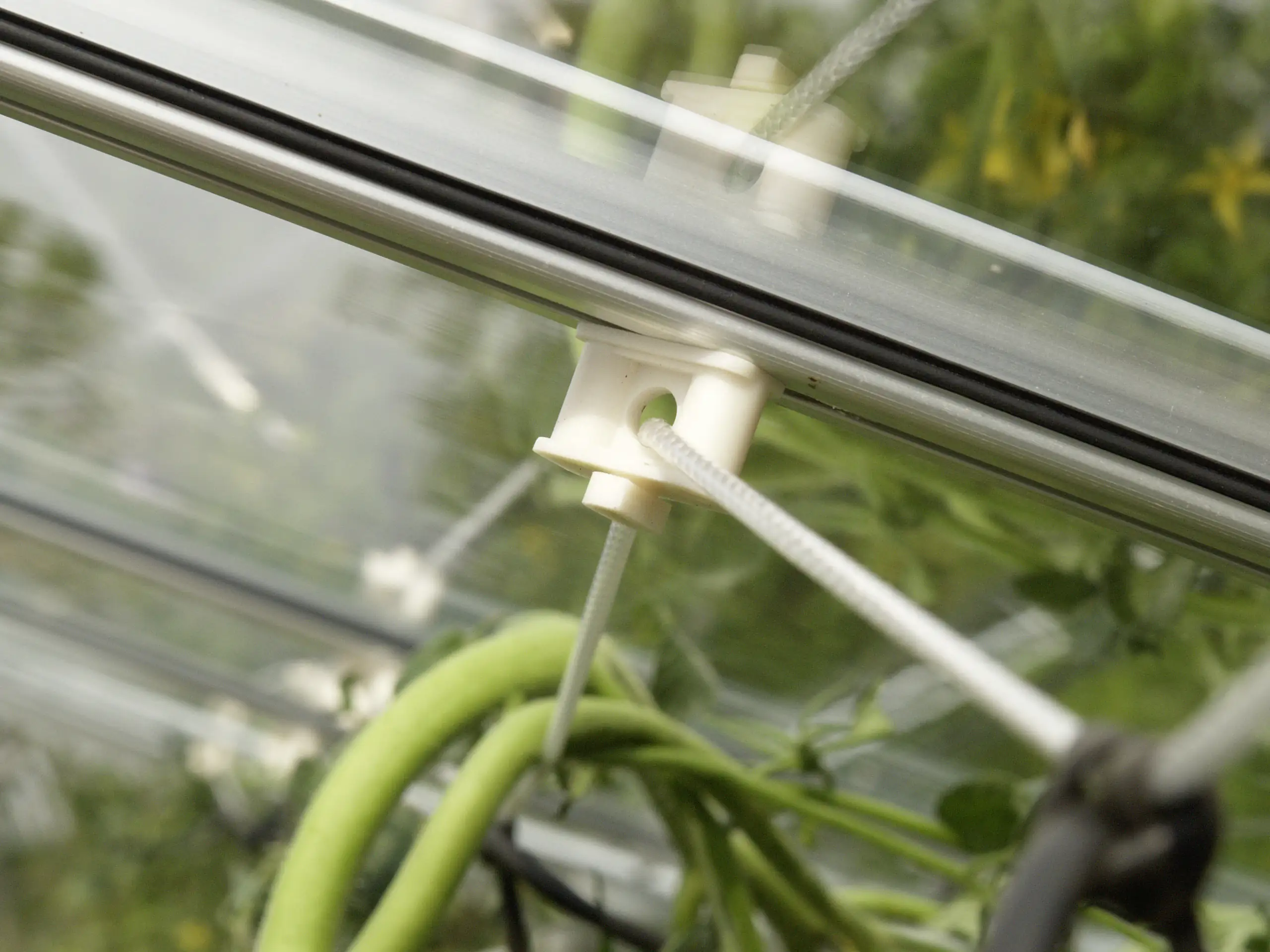 5703774200137_1189770 Vitavia Pflanzenhalter 10 Stück