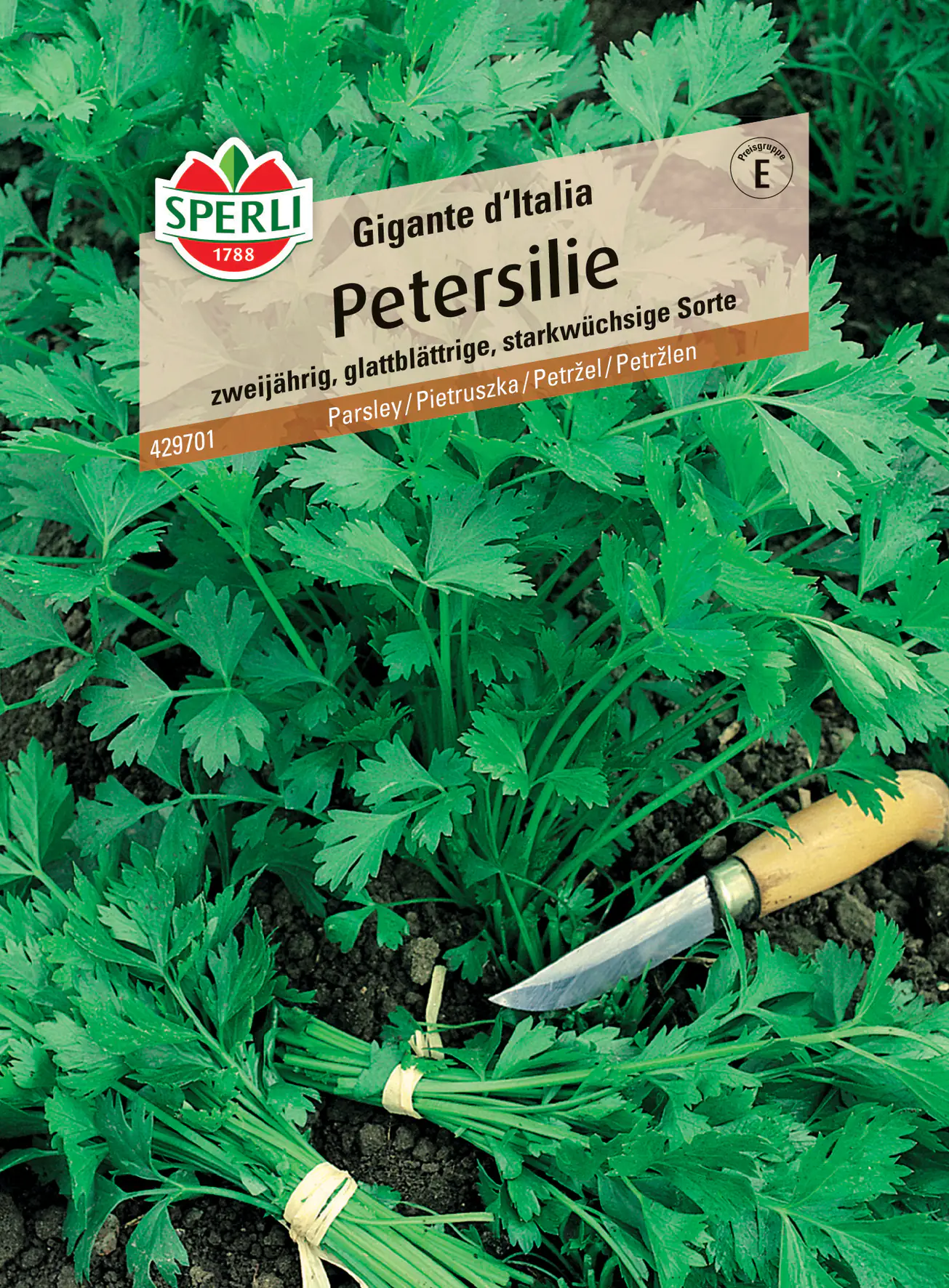 Sperli Petersilie Gigante d'Italia Sperli Petersilie Gigante d'Italia