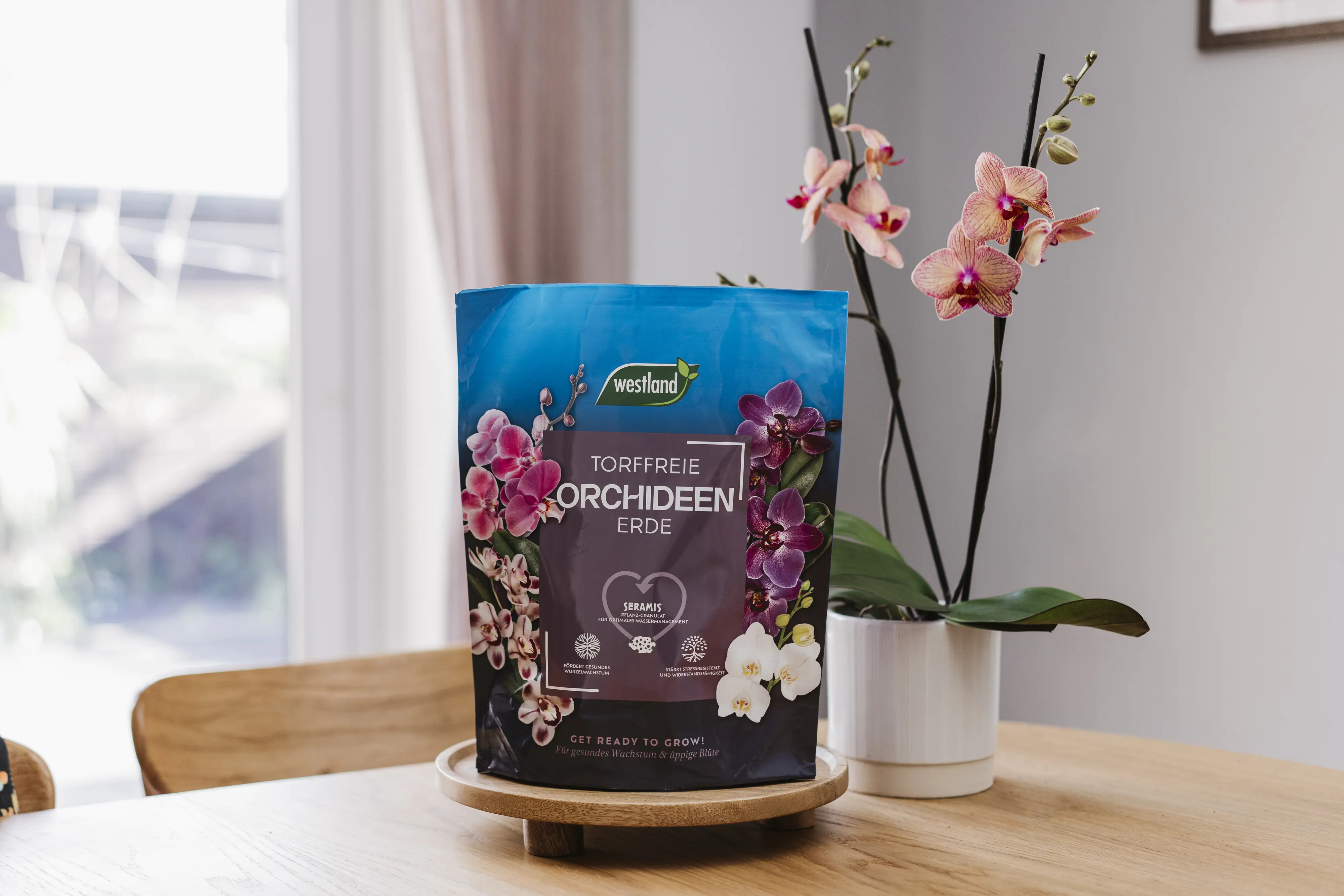 Westland Orchideen Erde torffrei 4 L