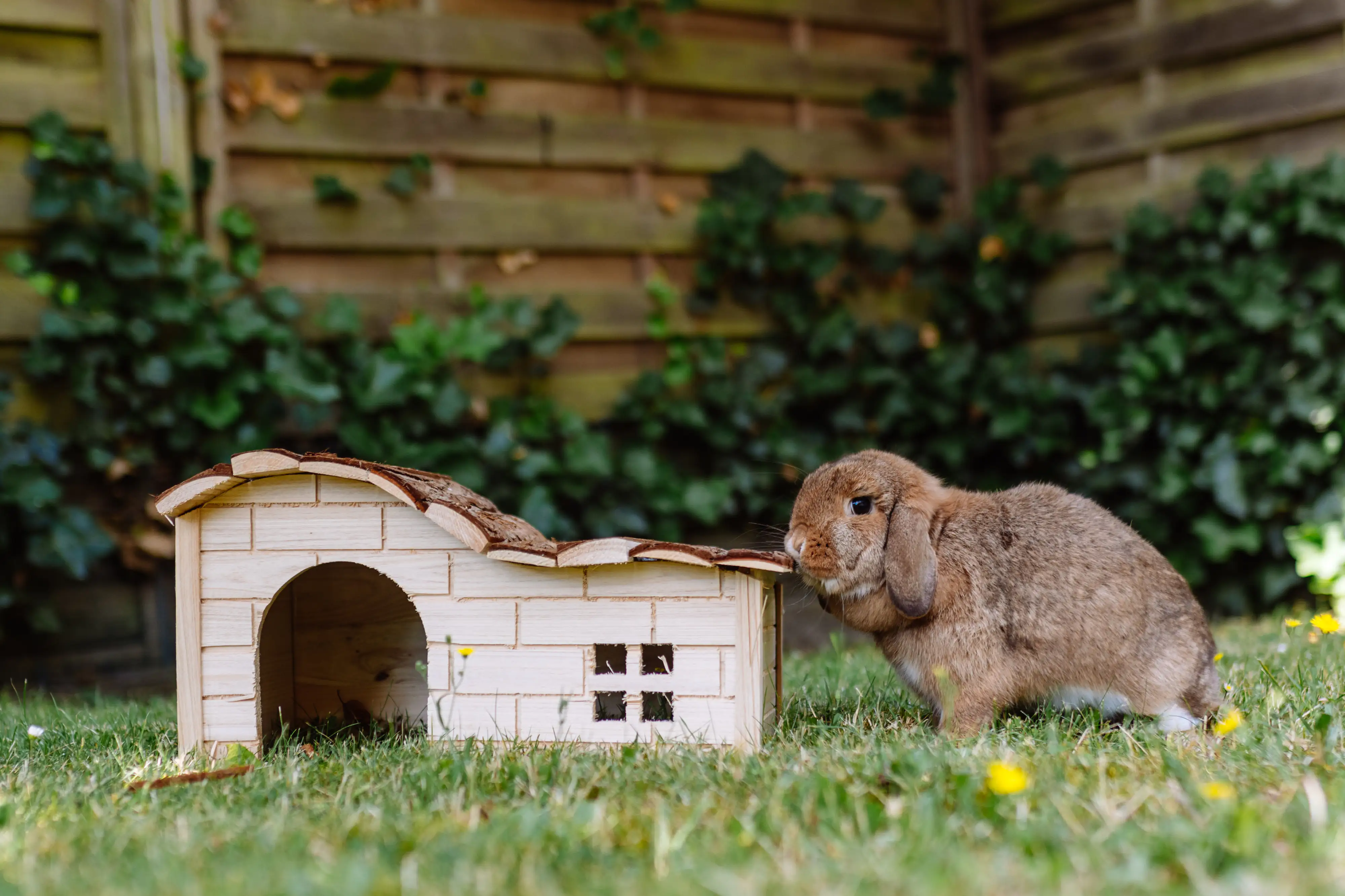 Nobby Woodland Nagerhaus Jessi 42,5 x 27 x 22 cm