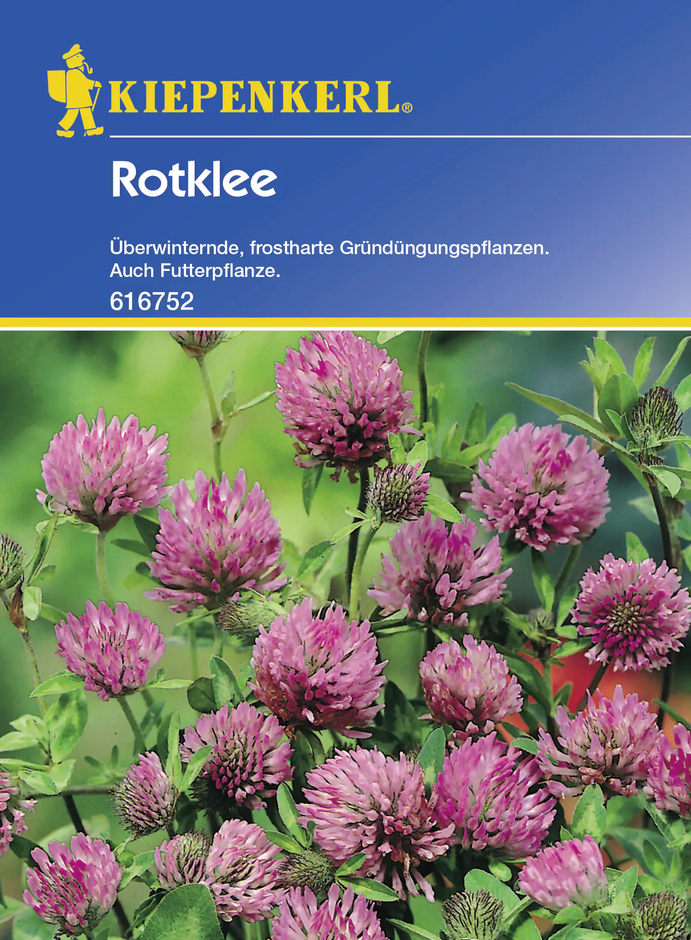 Kiepenkerl Rotklee Trifolium pratense, Inhalt: 50 g