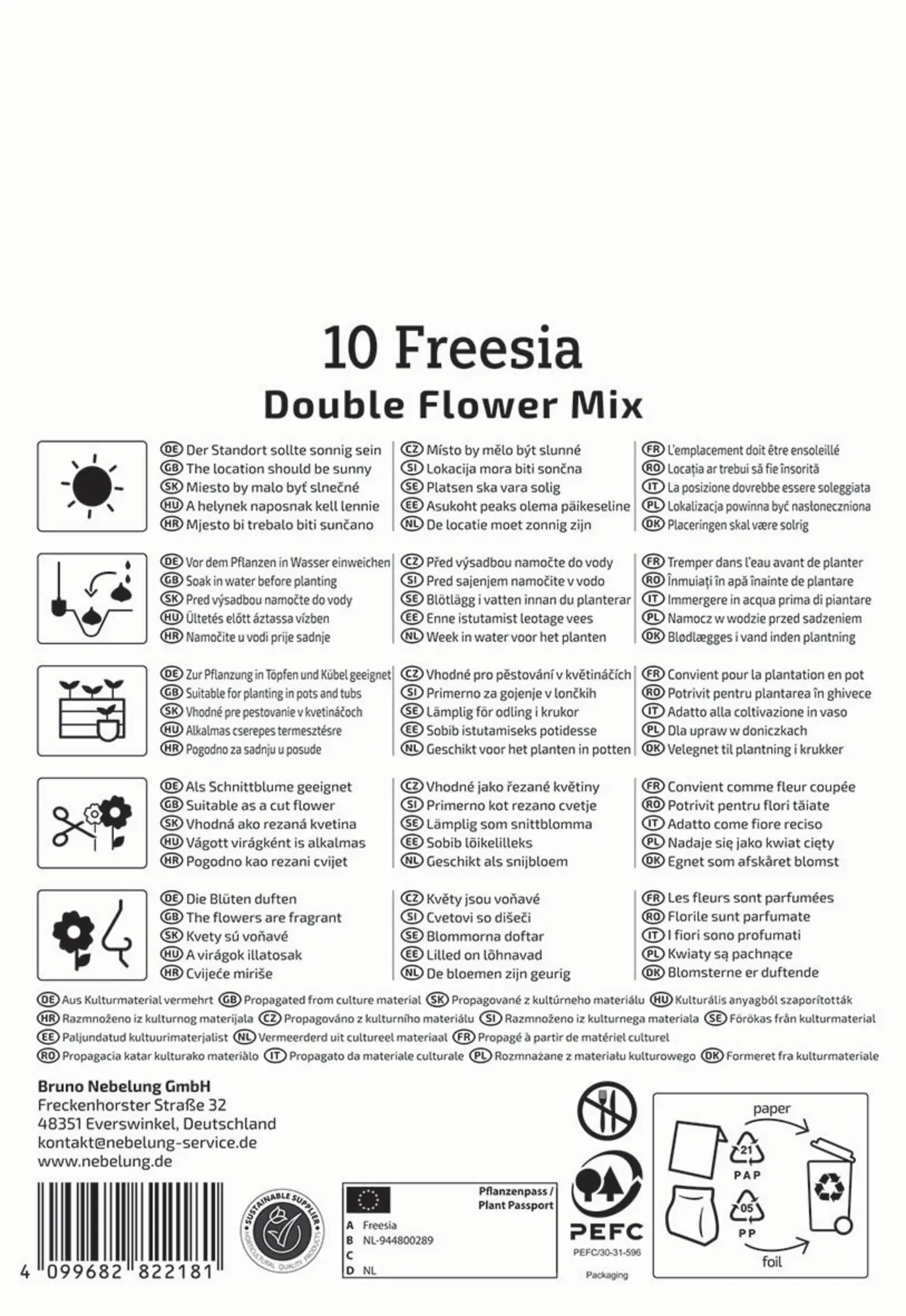 Kiepenkerl Frühjahrsblumenzwiebel Freesien Mischung gefüllte Blüten 10 Stück