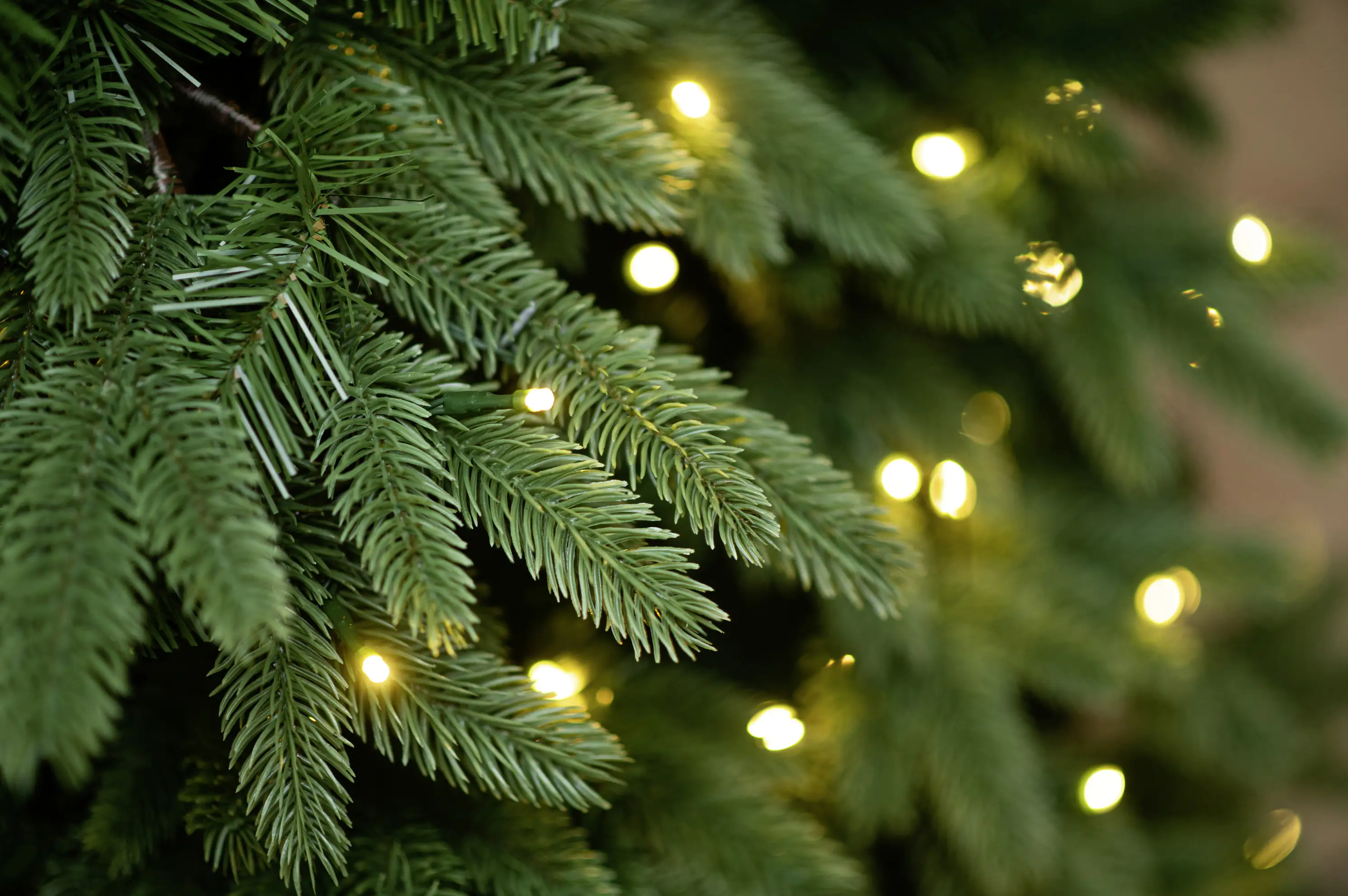 4895215153810_2611576 Evergreen Weihnachtsbaum Roswell Kiefer 150 cm beleuchtet