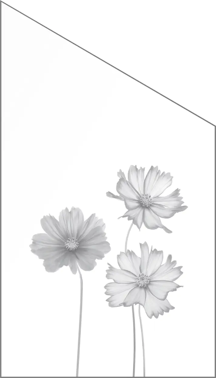 Ambiente Glaszaun Dekor 93 schräg 103 x 180/120 cm gehärtetes 8 mm Glas