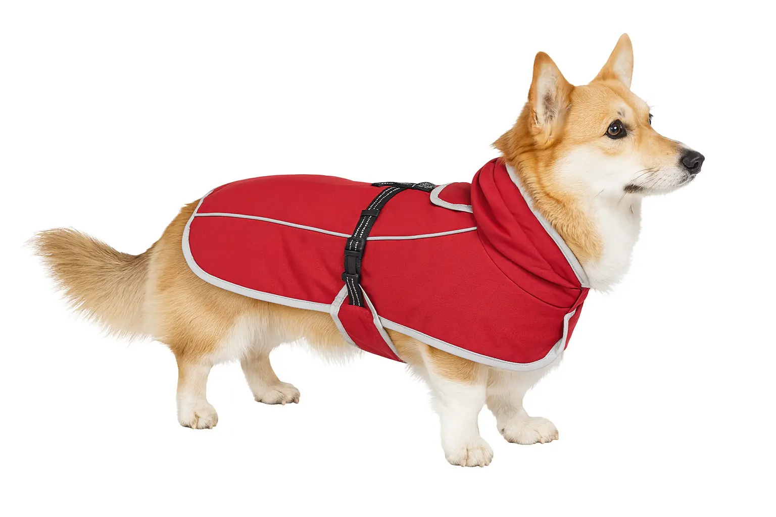 Nobby Hundemantel Softpreno rot 