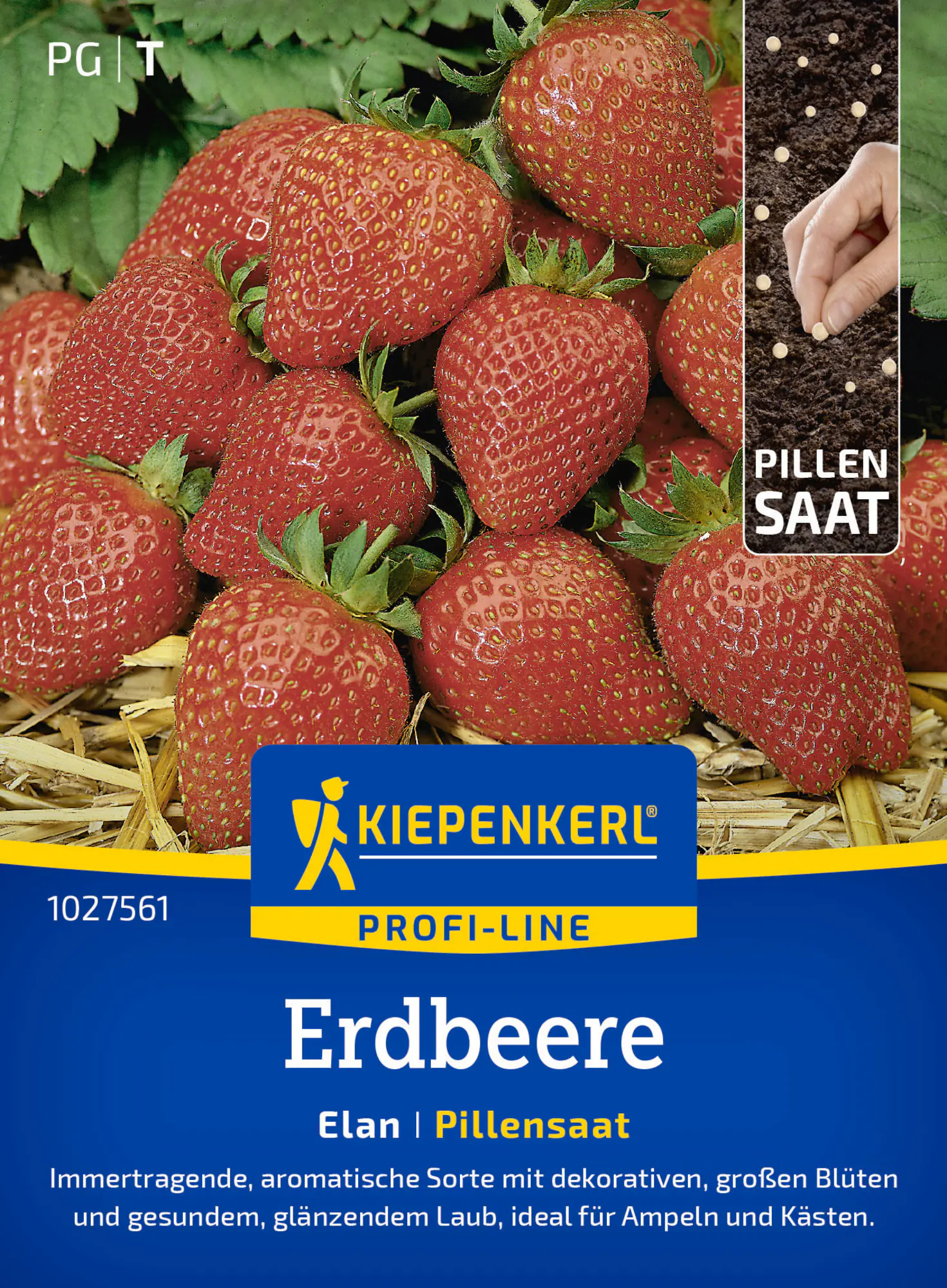 Kiepenkerl Profi-Line Saatgut Erdbeere Elan F1 Pillensaat für ca. 6 Pflanzen