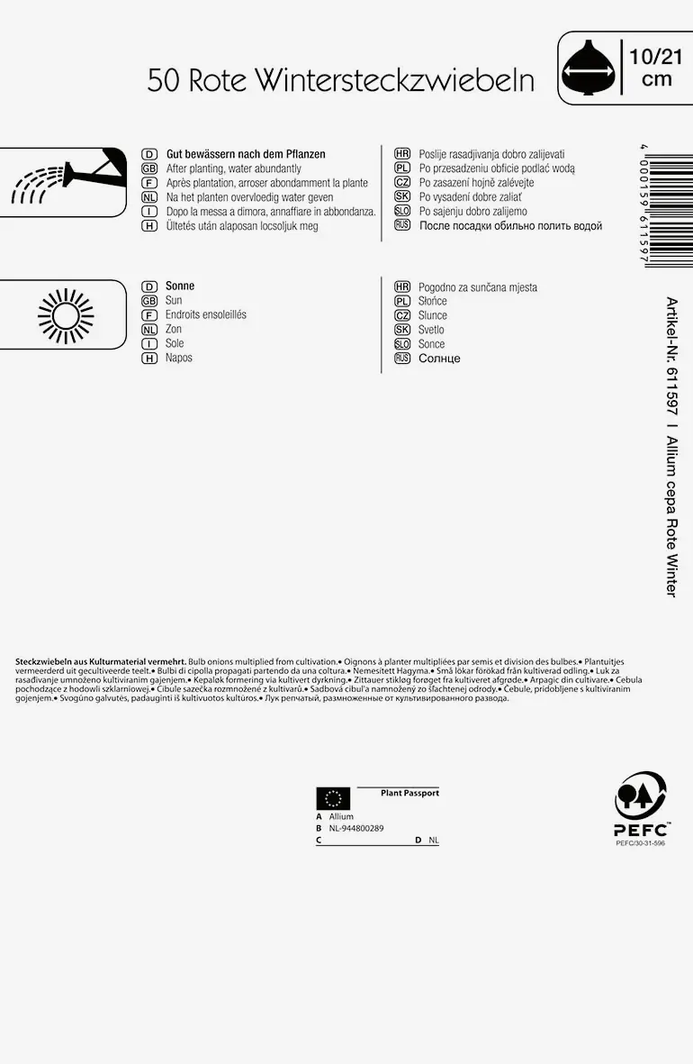 Kiepenkerl Wintersteckzwiebel Rote Winter 50 Pflanzen
