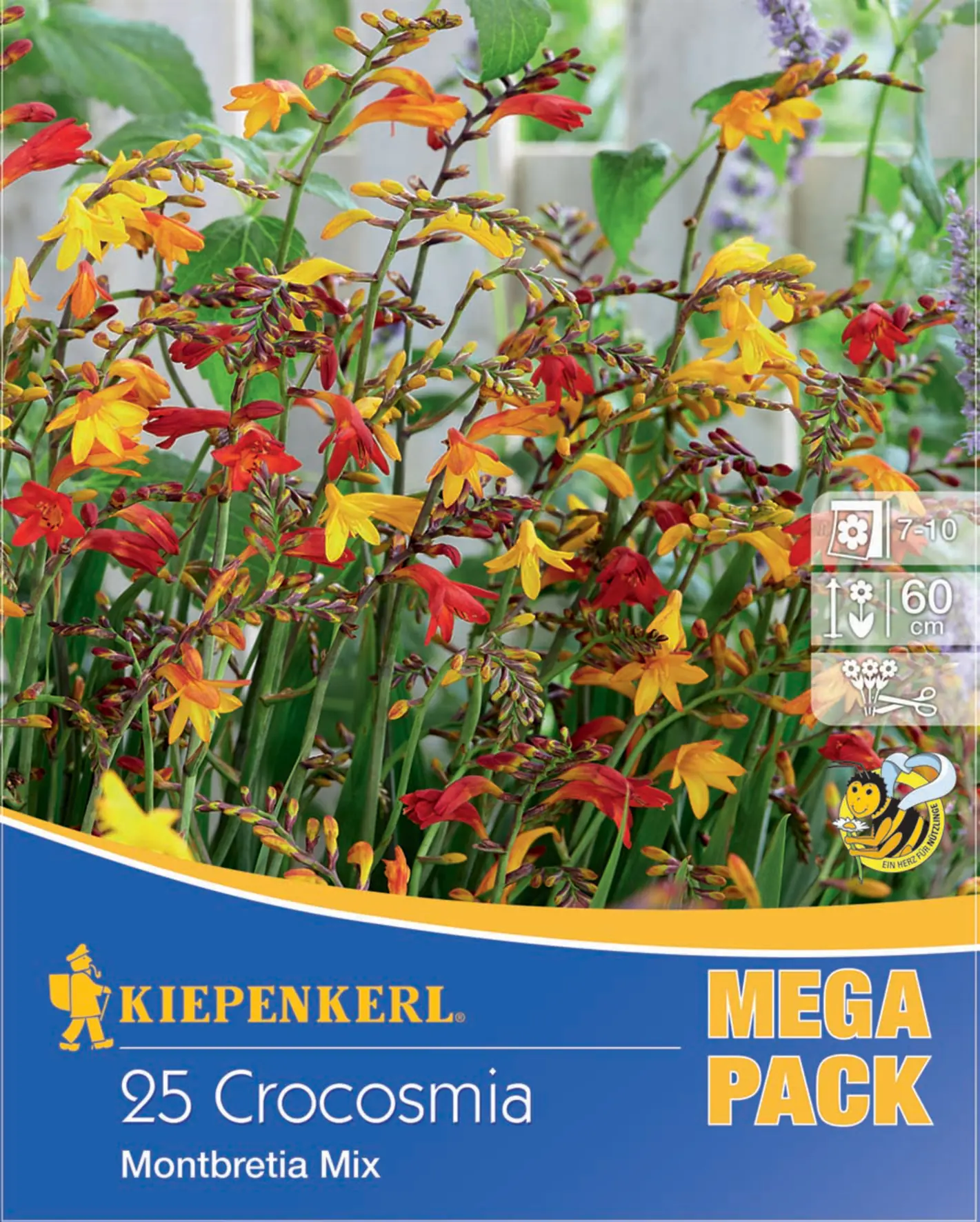 Kiepenkerl Montbretien Mischung