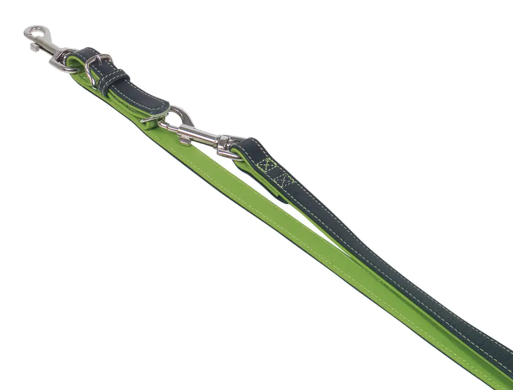 Nobby Führleine Pacific grün 200 cm Nobby Führleine Pacific grün 200 cm