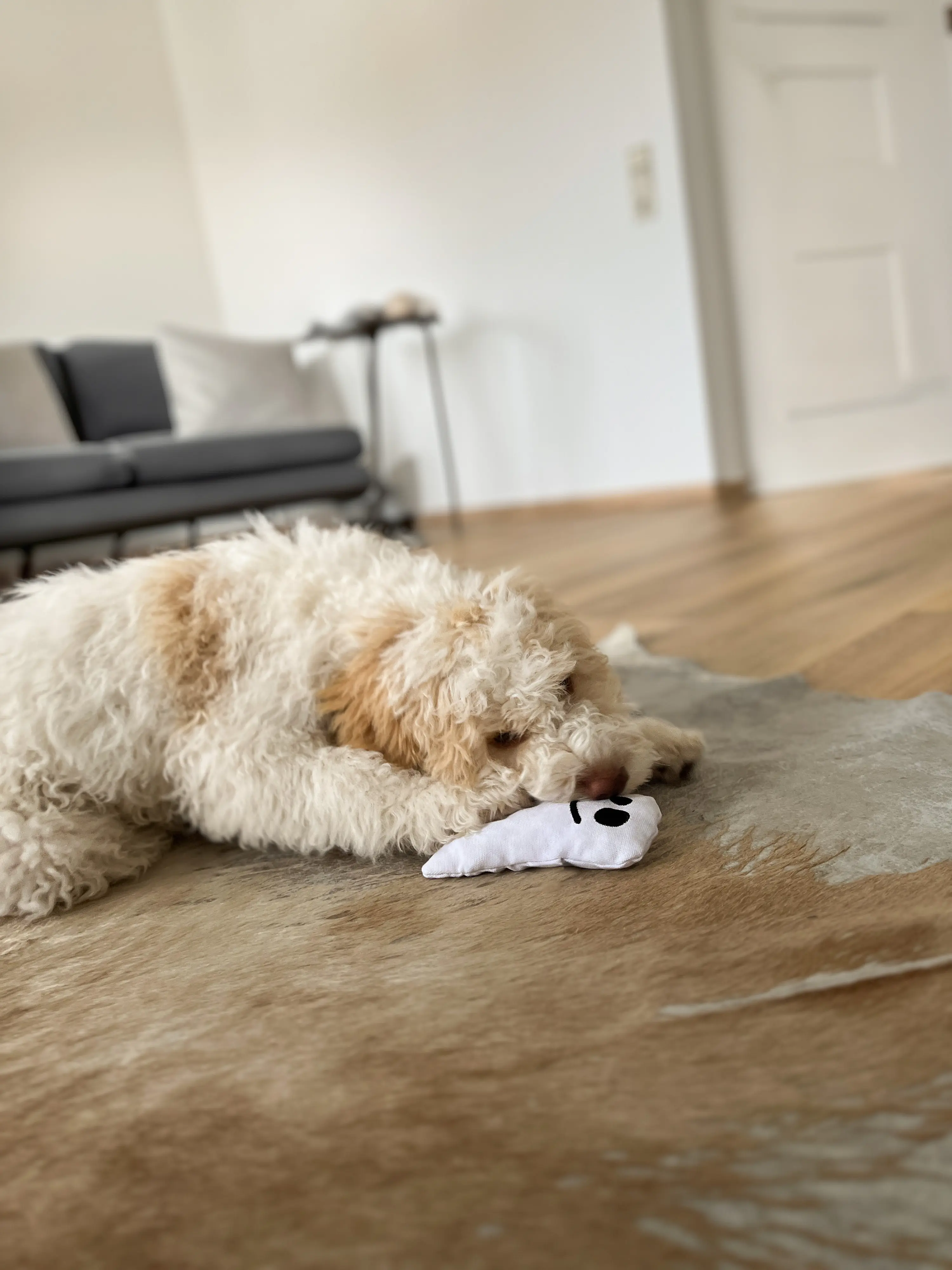 Aumüller Hundespielzeug Geist 16 cm weiß schwarz