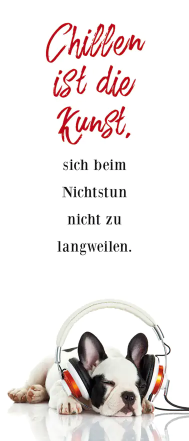 4251050569726 Deco-Canvas Bild - Gechillter Hund 30 x 70 cm