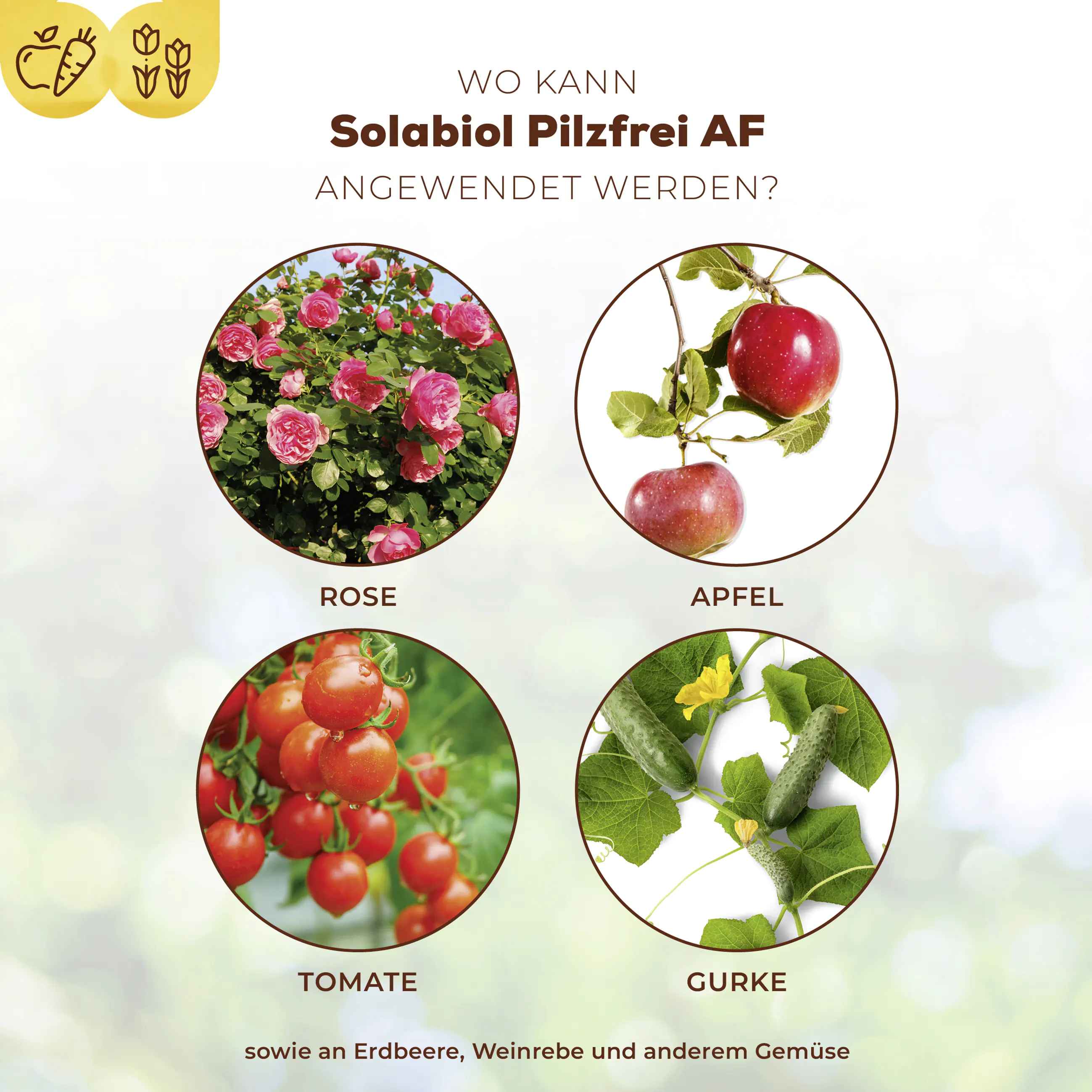 Solabiol Pilzfrei AF 750 ml