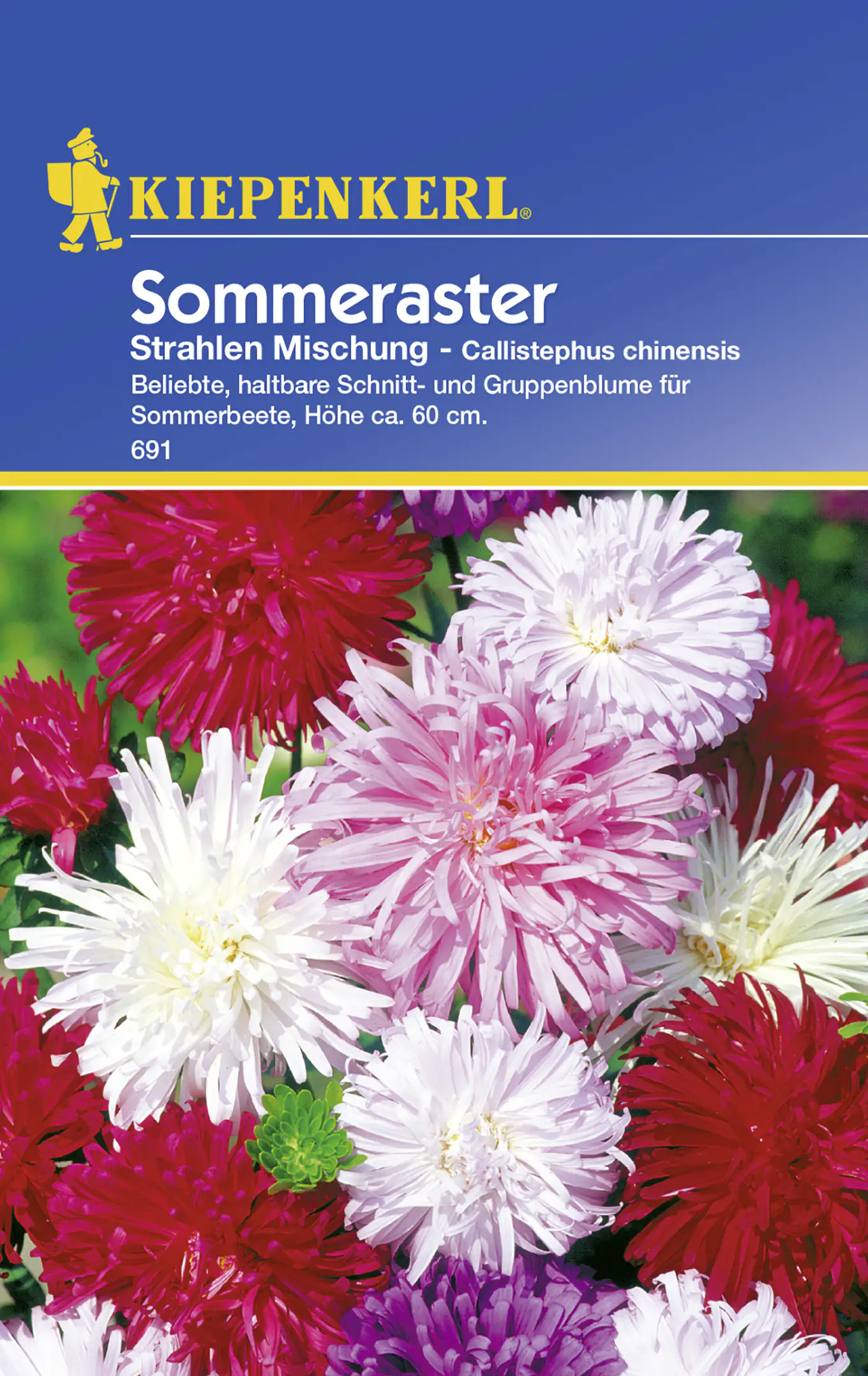 Kiepenkerl Sommeraster Strahlen Mischung Callistephus chinensis, Inhalt: ca. 50 Pflanzen Kiepenkerl Sommeraster Strahlen Mischung Callistephus chinensis, Inhalt: ca. 50 Pflanzen