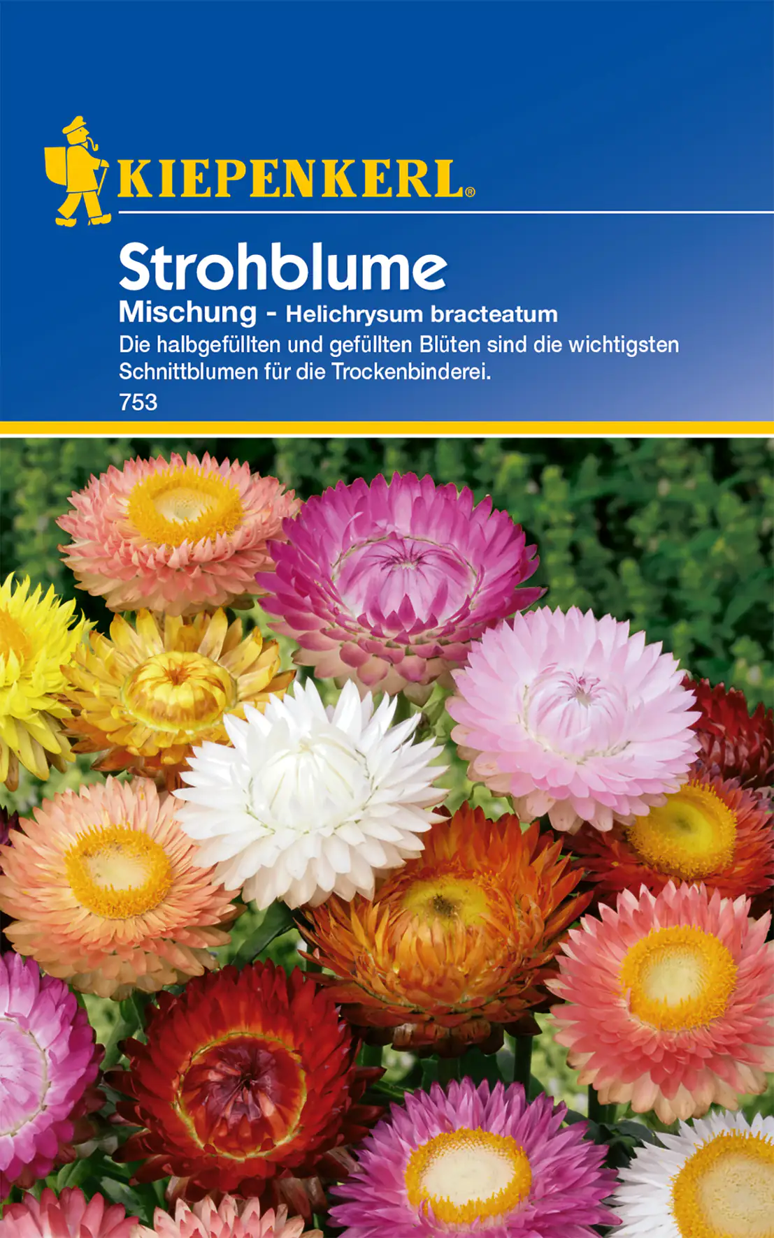 Kiepenkerl Strohblume Mischung