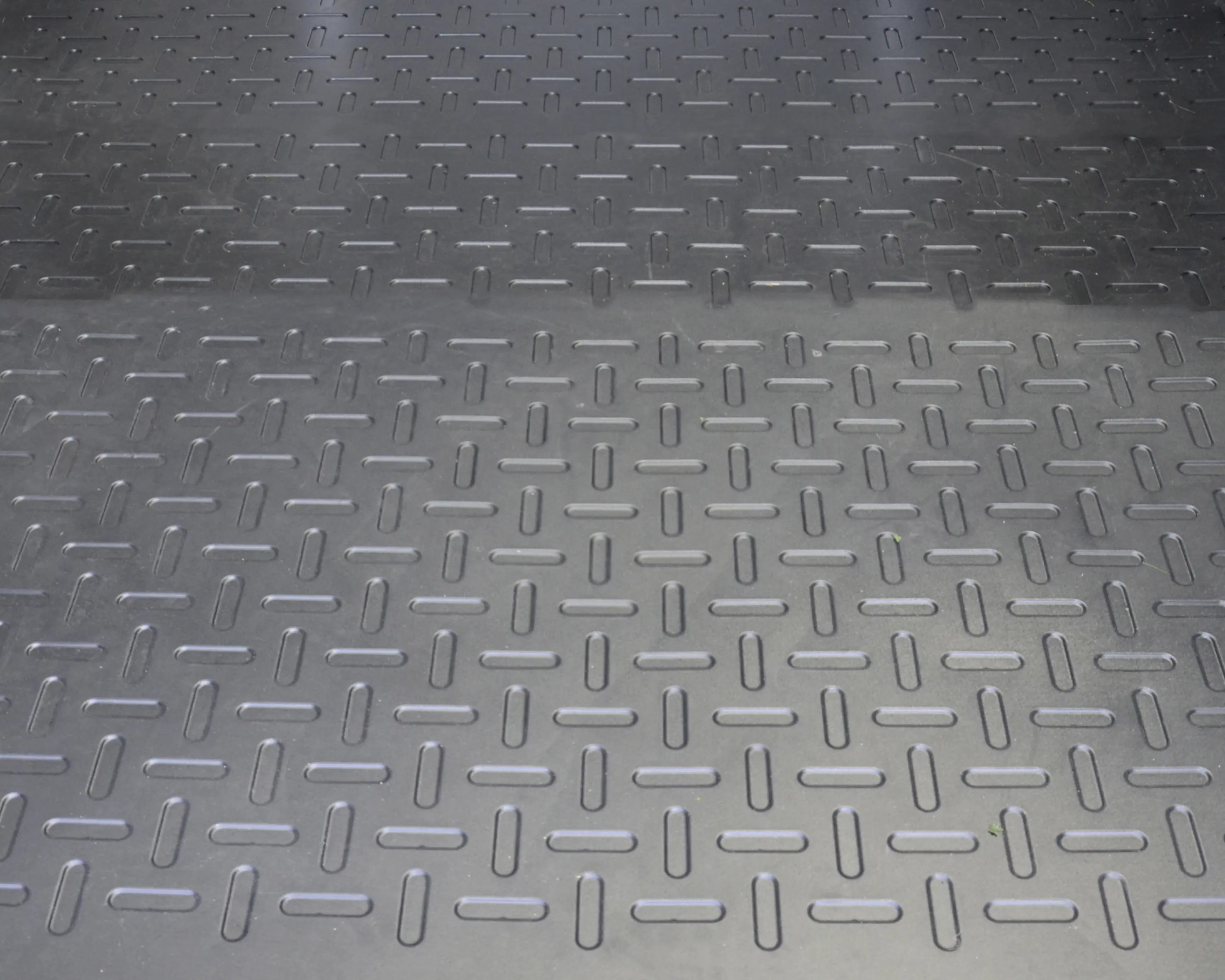 Canopia Gerätehaus Skylight Shed 6x5 175 x 152 x 171 cm