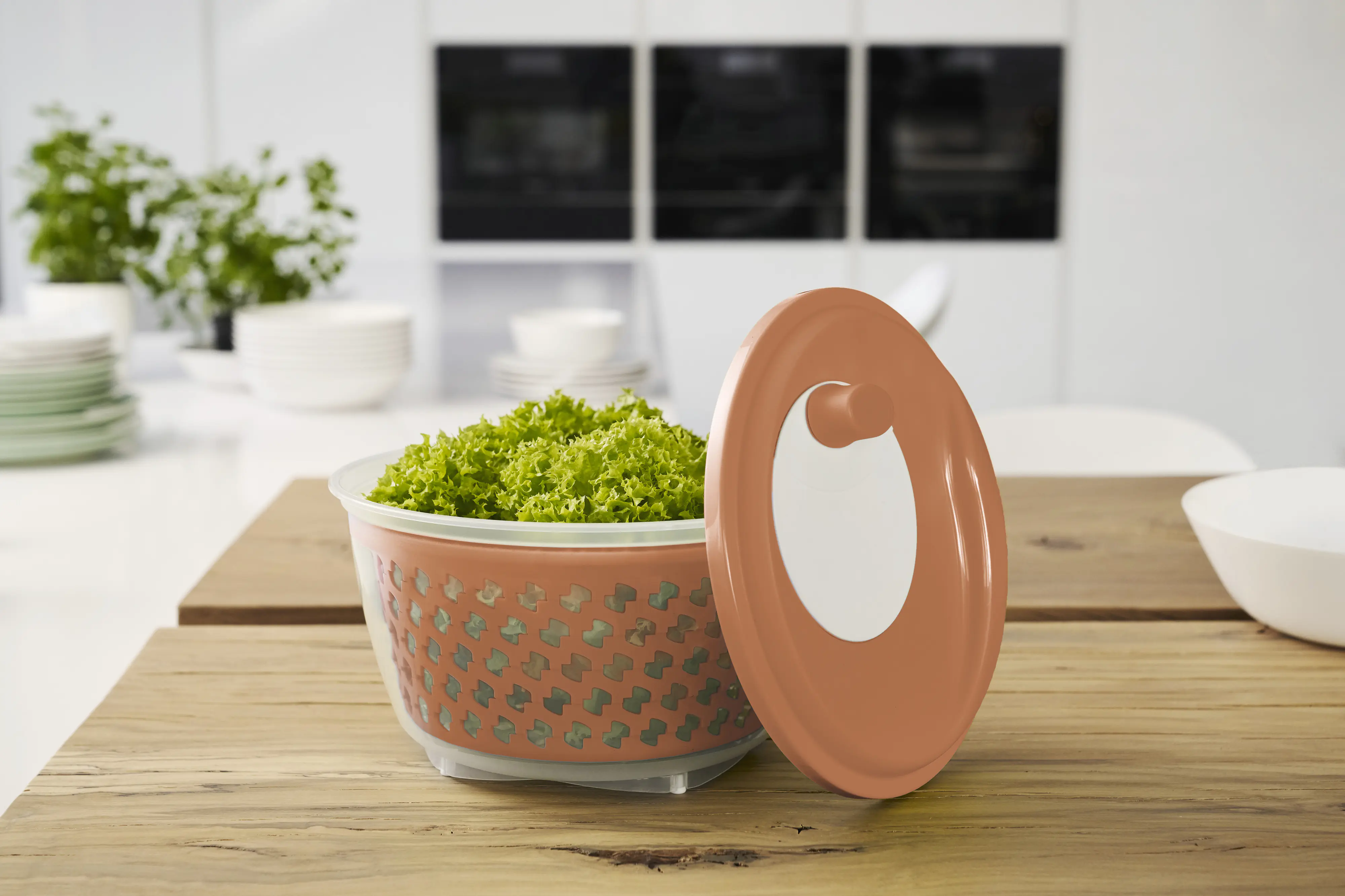 Rotho Salatschleuder Fresh 4,5 L coral clay