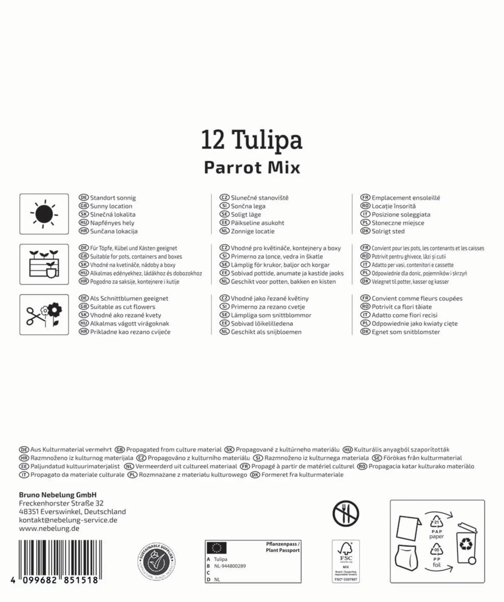 Kiepenkerl Herbstblumenzwiebelmischung Mega-Pack Papageien-Tulpen 12 Stück