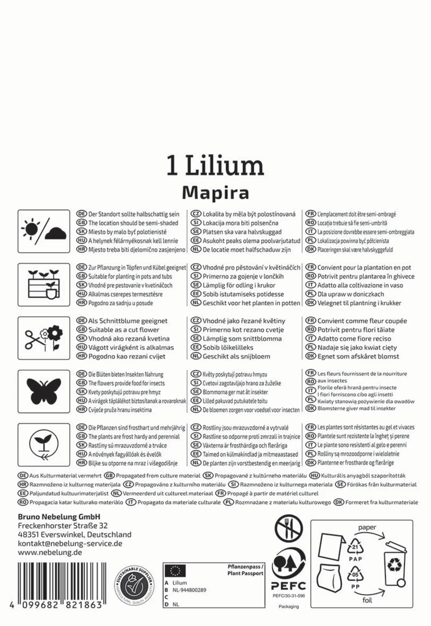 Kiepenkerl Frühjahrsblumenzwiebel Asiatische Lilie Mapira 1 Stück