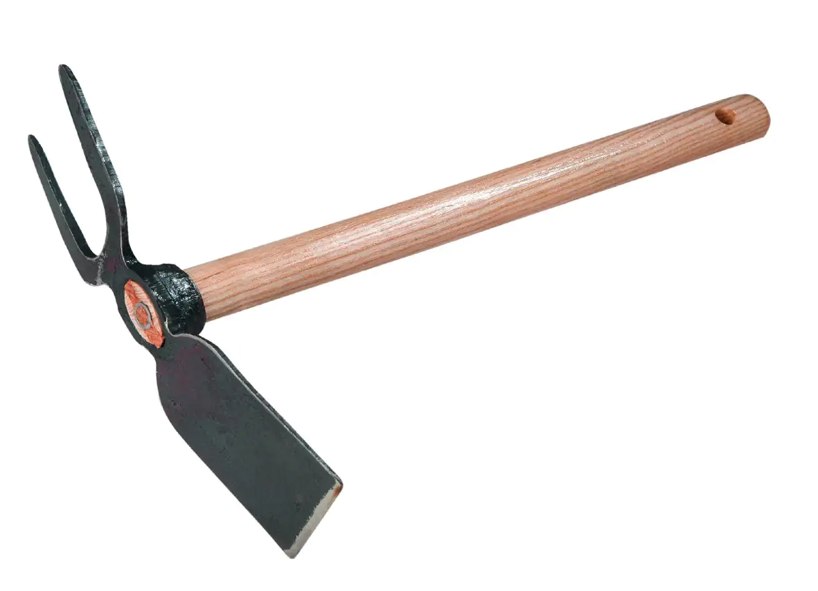 Freund Victoria Breitblatt-Kleinhacke ideal für Hochbeete Freund Victoria Breitblatt-Kleinhacke ideal für Hochbeete