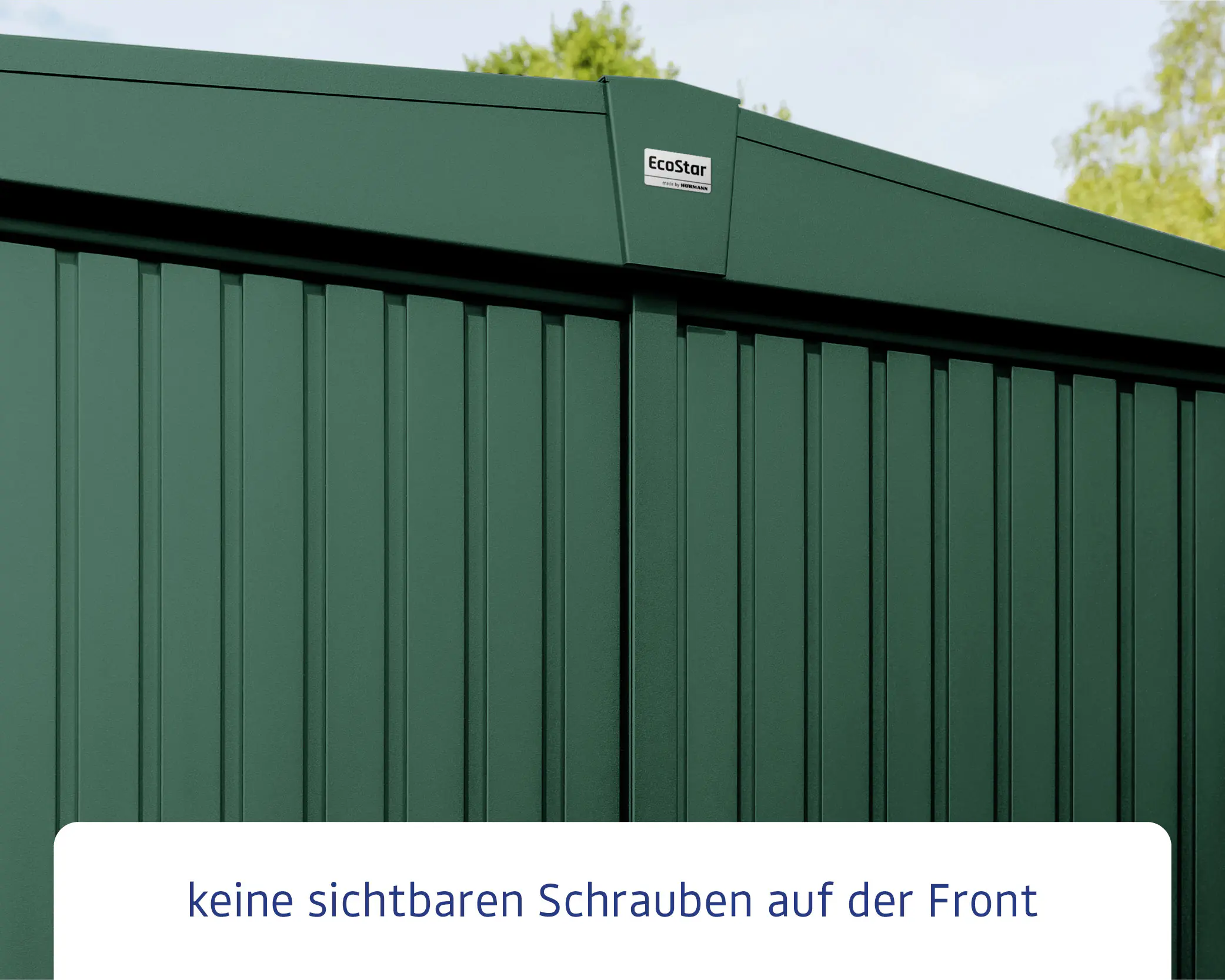 Ecostar Gerätehaus Trend-S Typ 1 258,8 x 121,3 x 216 cm moosgrün