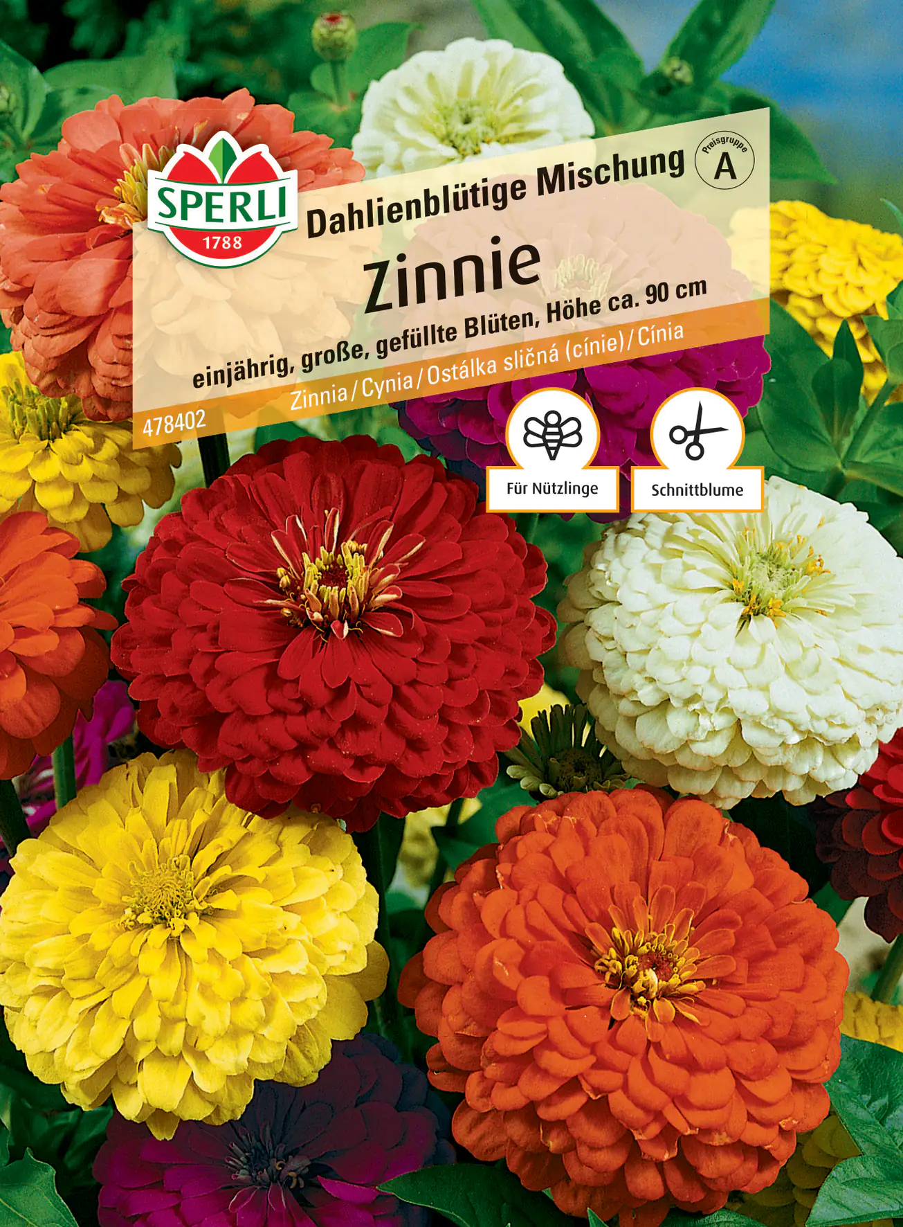 Sperli Zinnie Dahlienblütige Mischung