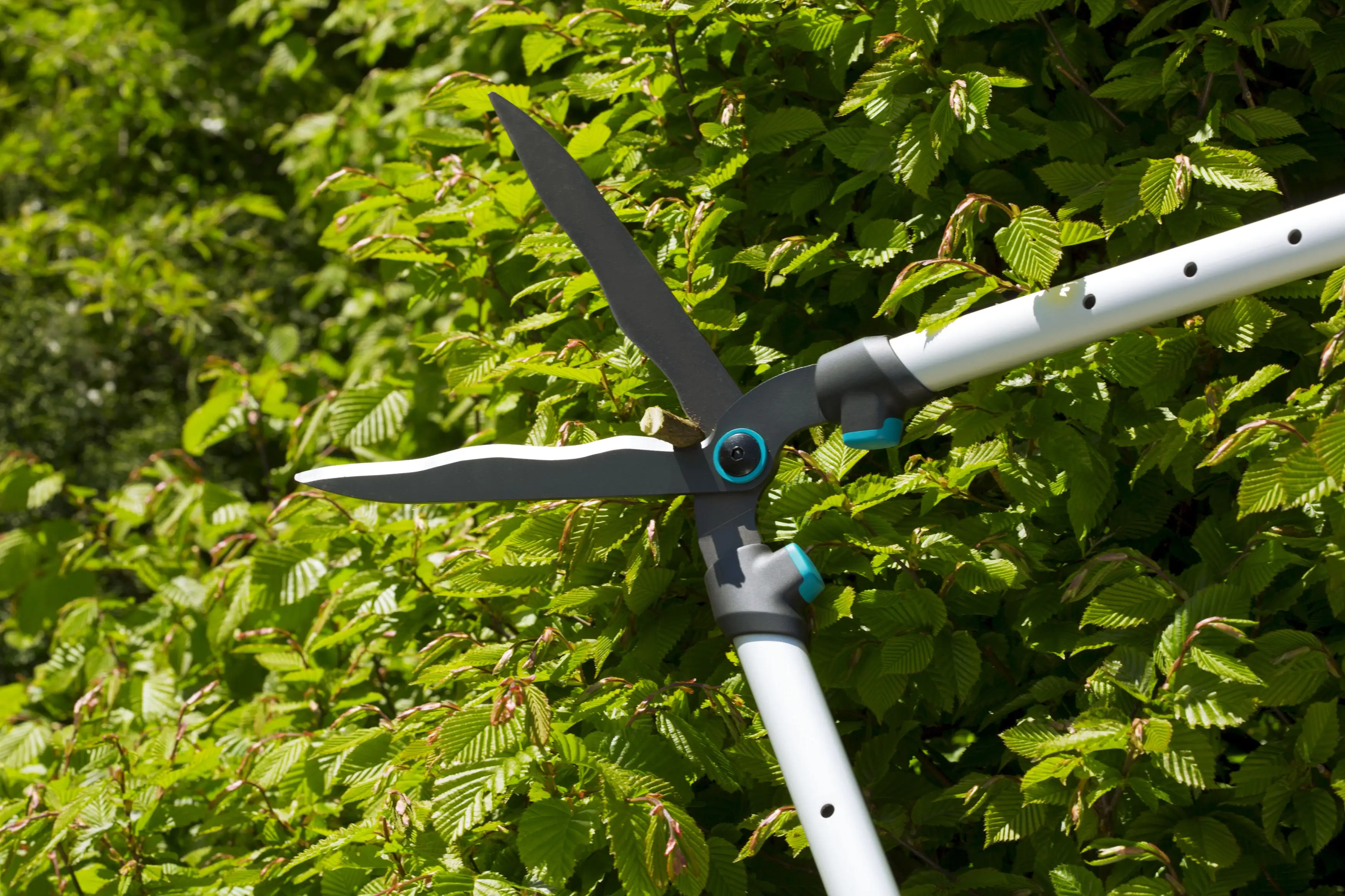 Gardena Heckenschere TeleCut kaufen Globus Baumarkt