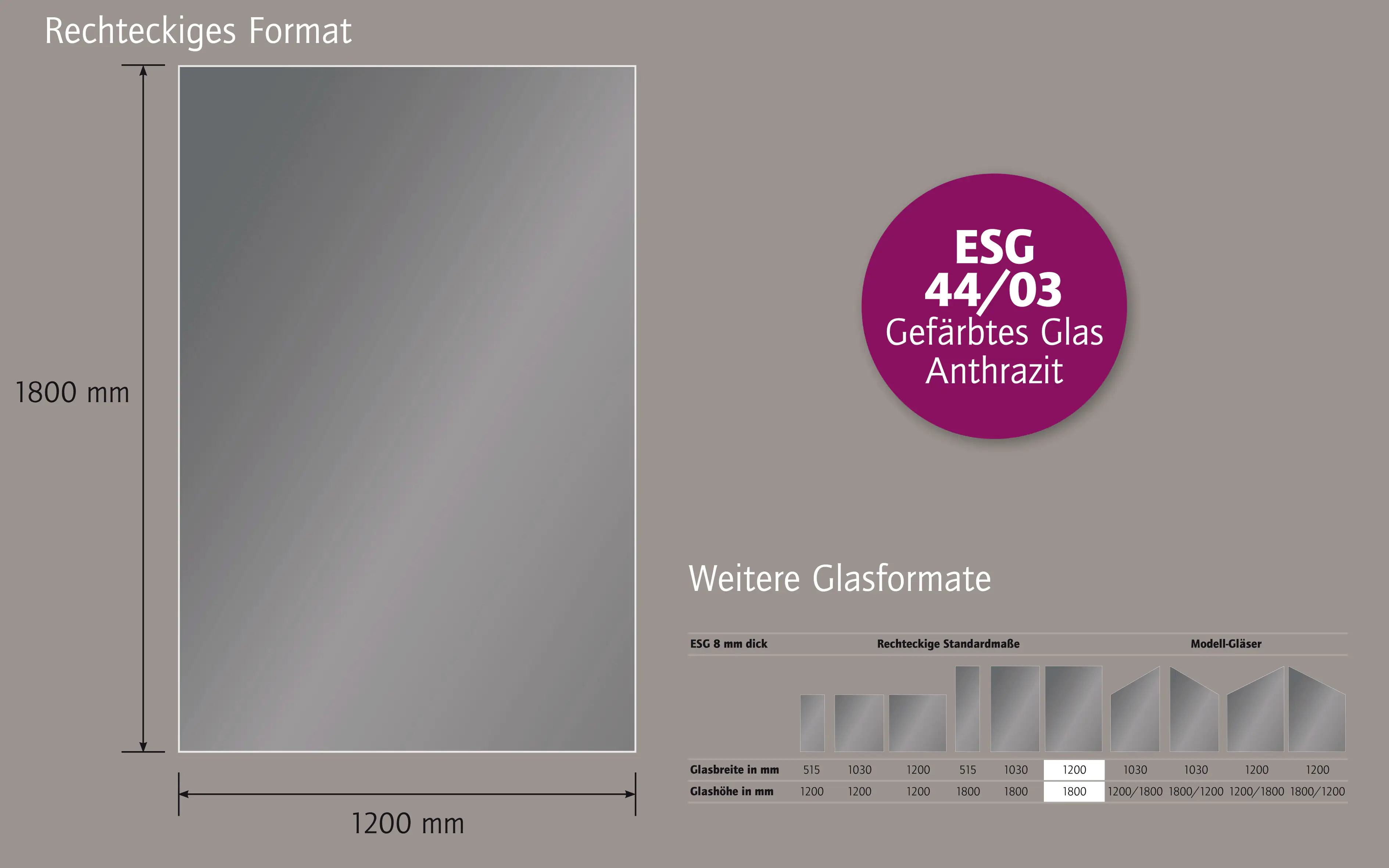 Ambiente Glaszaun Dekor 44/03 120 x 180 cm gehärtetes 8 mm Glas Ambiente Glaszaun Dekor 44/03 120 x 180 cm gehärtetes 8 mm Glas