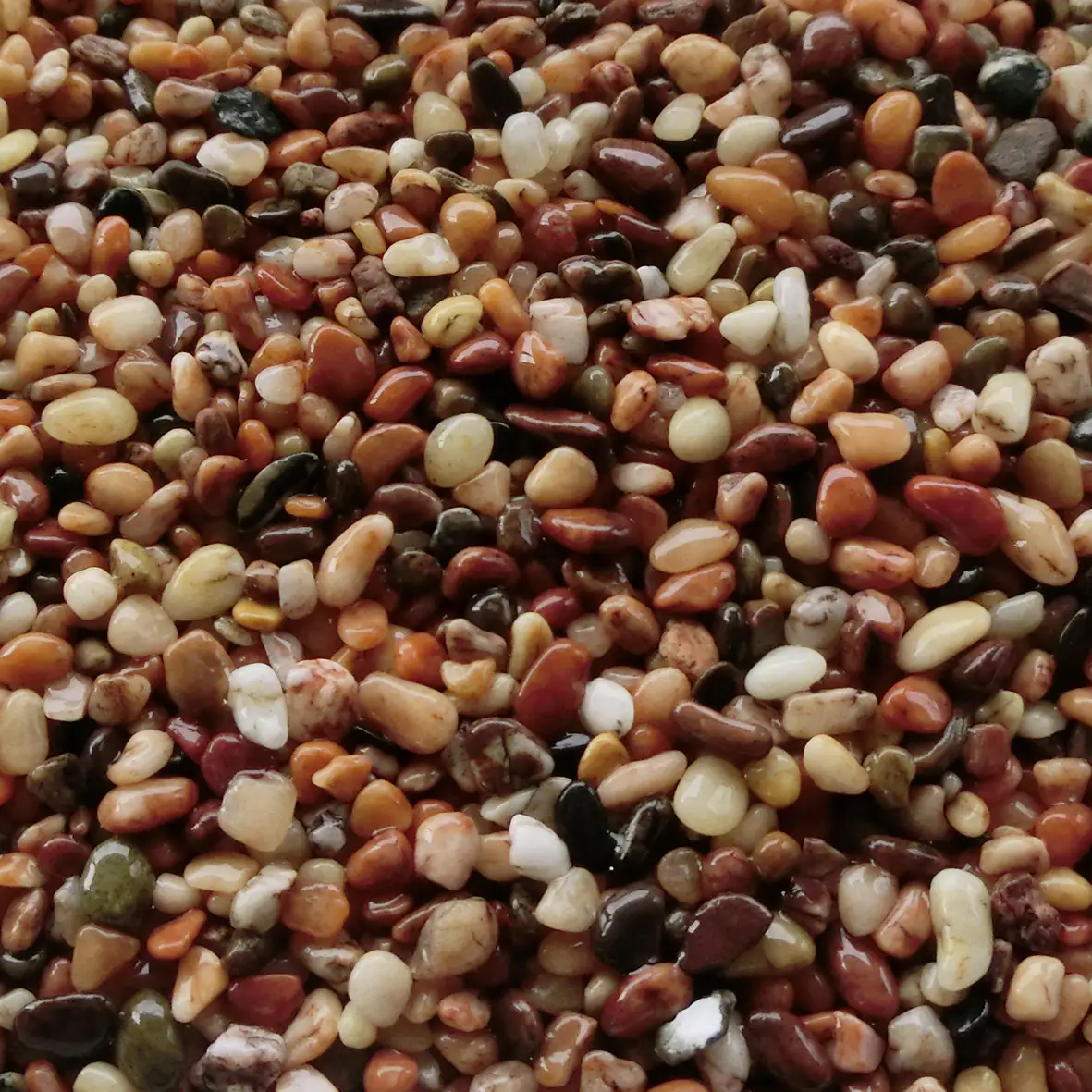 Orbit Aquarien Macado Edelkies mittel 5kg