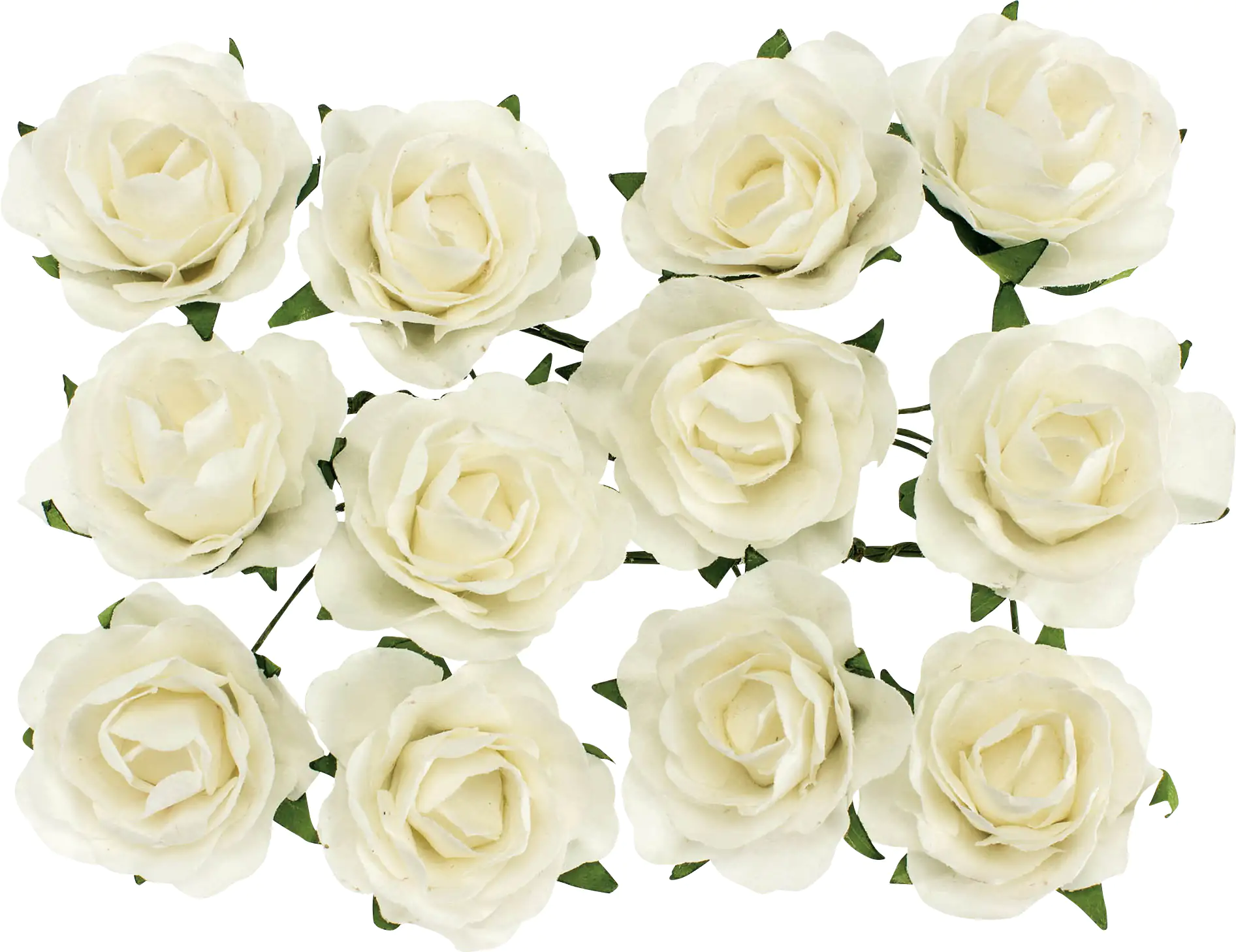 Röschen weiß mit Draht 30 mm 12 Stück