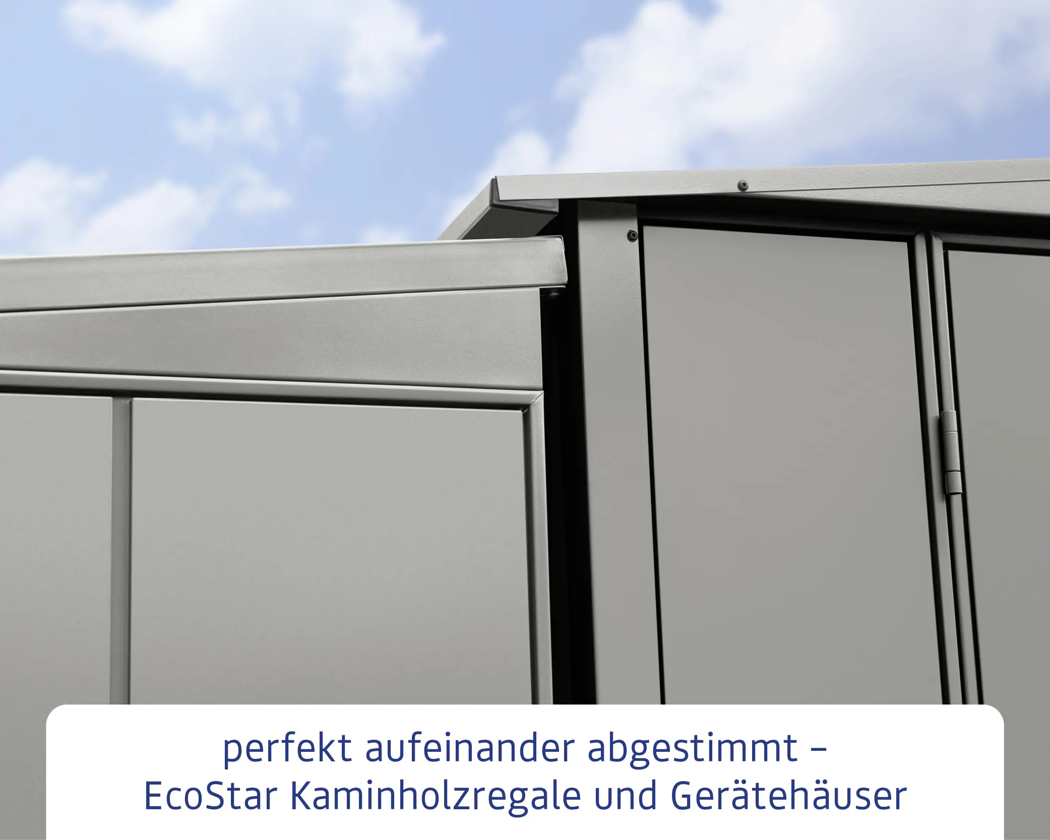 Ecostar Kaminholzregal Elegant-V Typ 1, graualuminium, mit Verstrebung