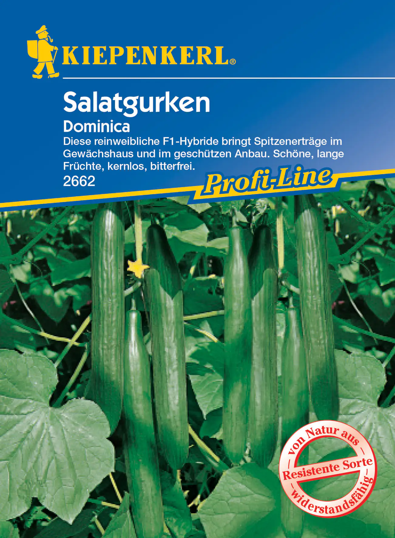 Kiepenkerl Salatgurke Dominica F1