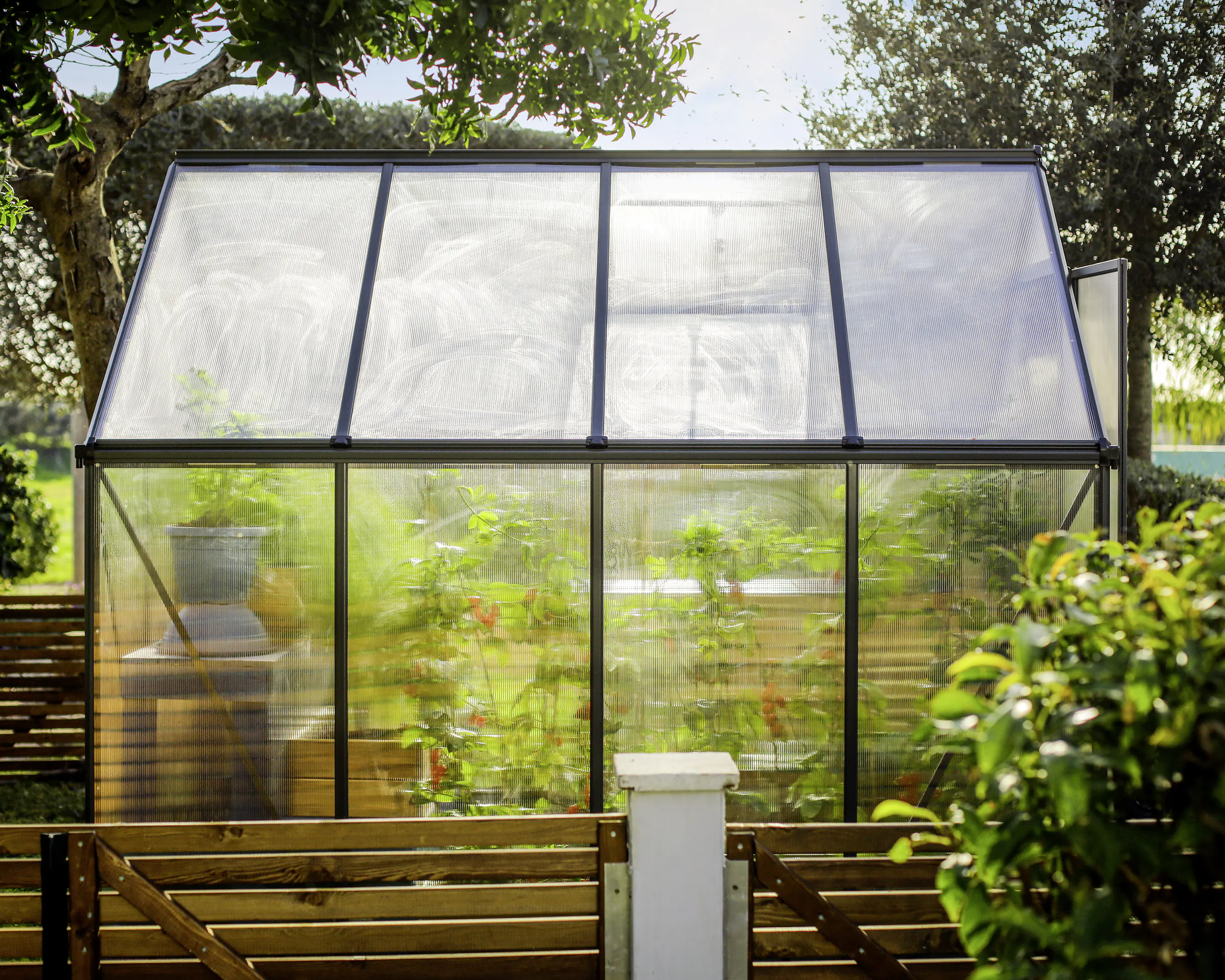 Canopia Gewächshaus Mythos Alu grau 247 x 185 cm