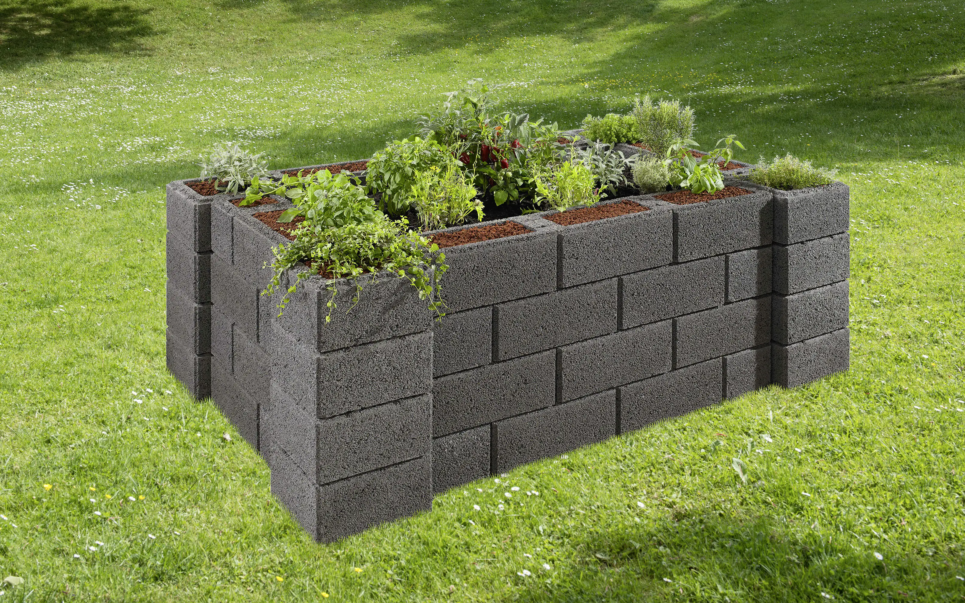 2077881026793_3 Kann Hochbeet-Set 4 Garten 230 x 150 x 85 cm anthrazit