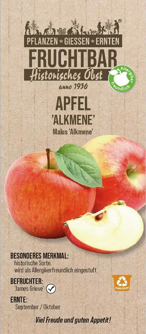 Stadt Ernte Bio Obstbaum Apfel Alkmene H 150 cm 29 cm Topf
