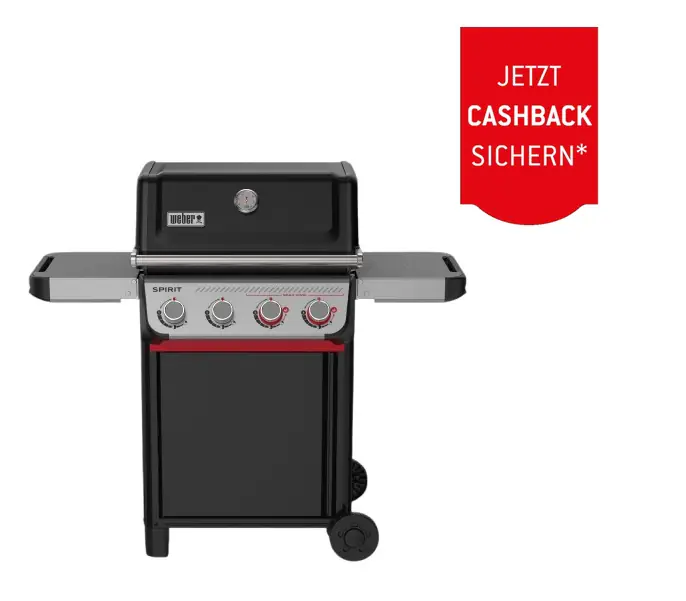 Weber Gasgrill Spirit E425 Grillfläche: 62 x 44 cm