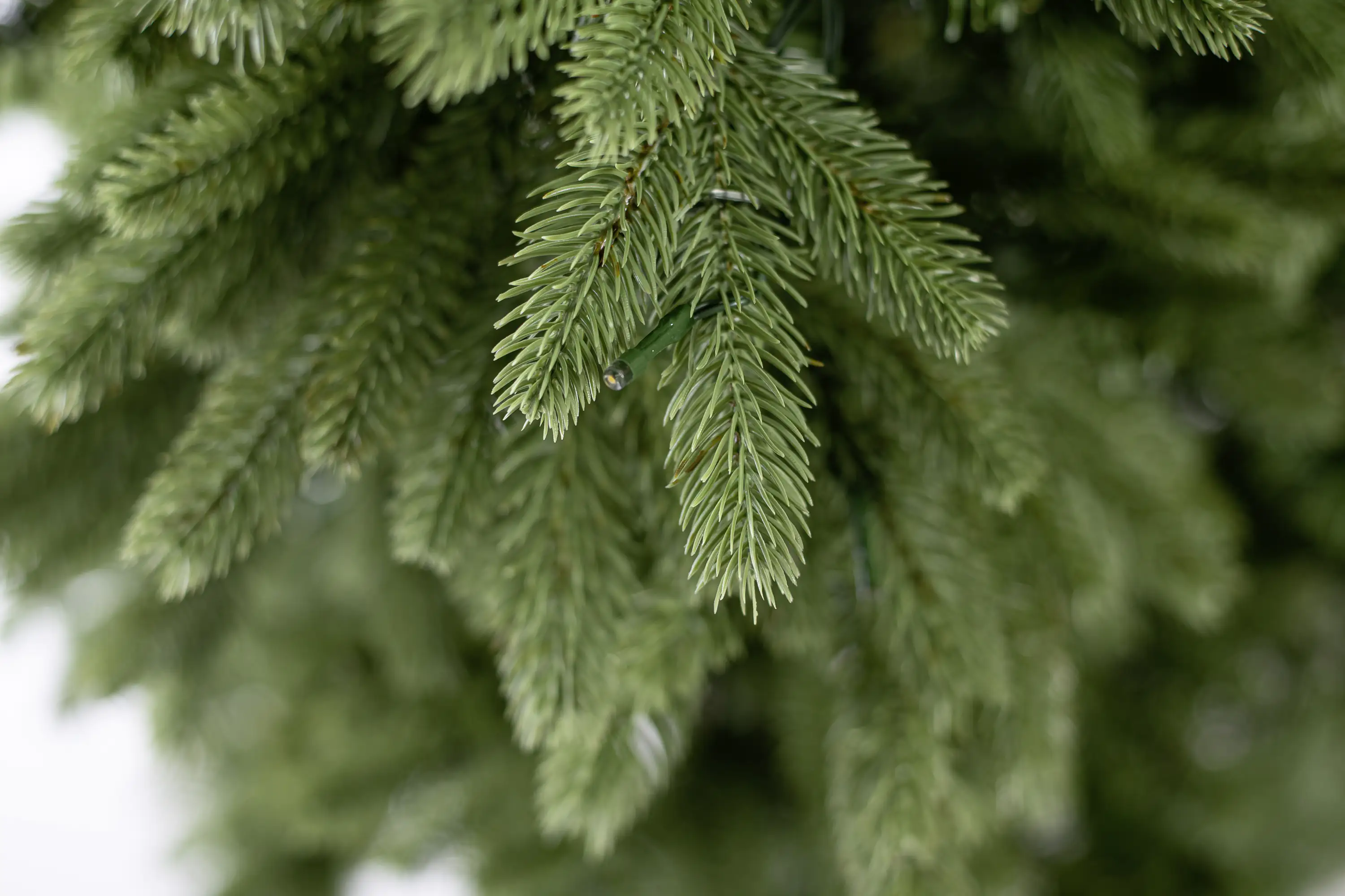 Evergreen Weihnachtsbaum Roswell Kiefer 150 cm beleuchtet Evergreen Weihnachtsbaum Roswell Kiefer 150 cm beleuchtet