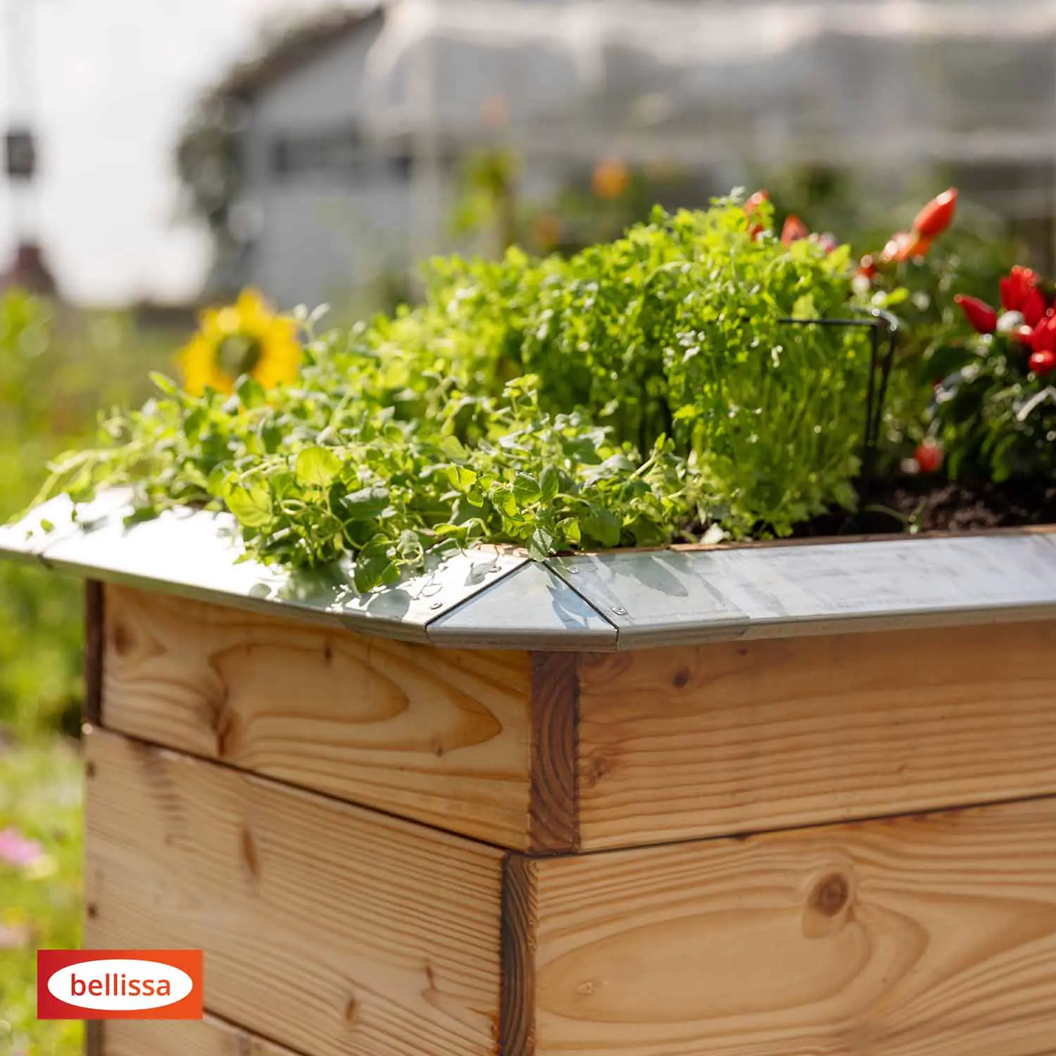 bellissa Schneckenblech für Hochbeete L