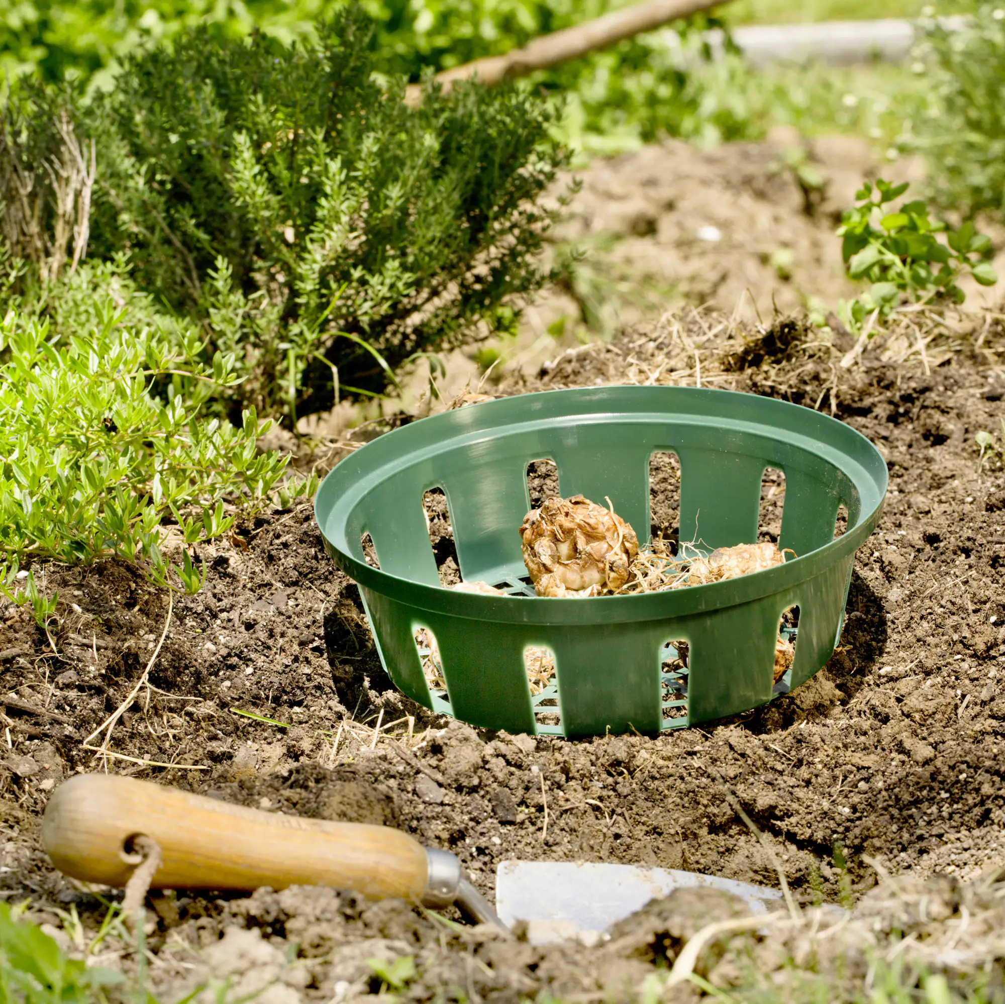 9003117055889 Windhager Pflanzschale Ø 22 cm, 3 Stück