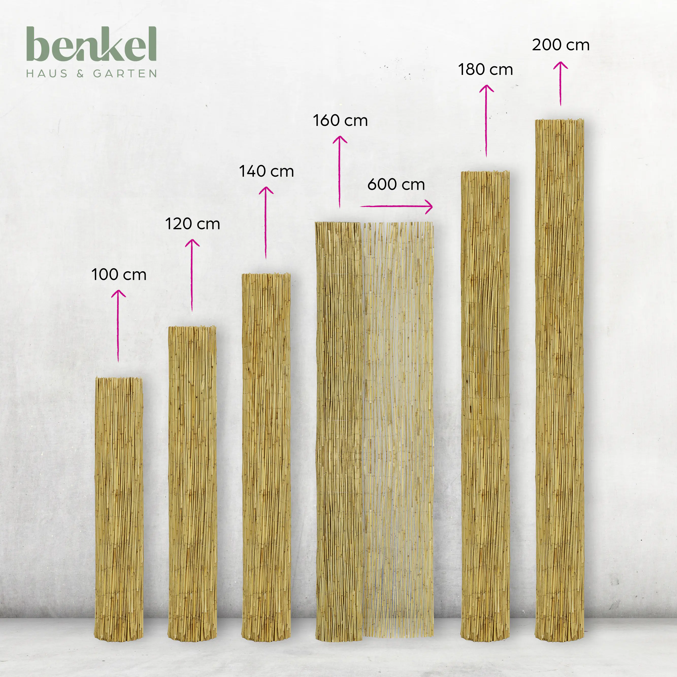 Schilfrohrmatte 1,6 x 6 m Schilfrohrmatte 1,6 x 6 m