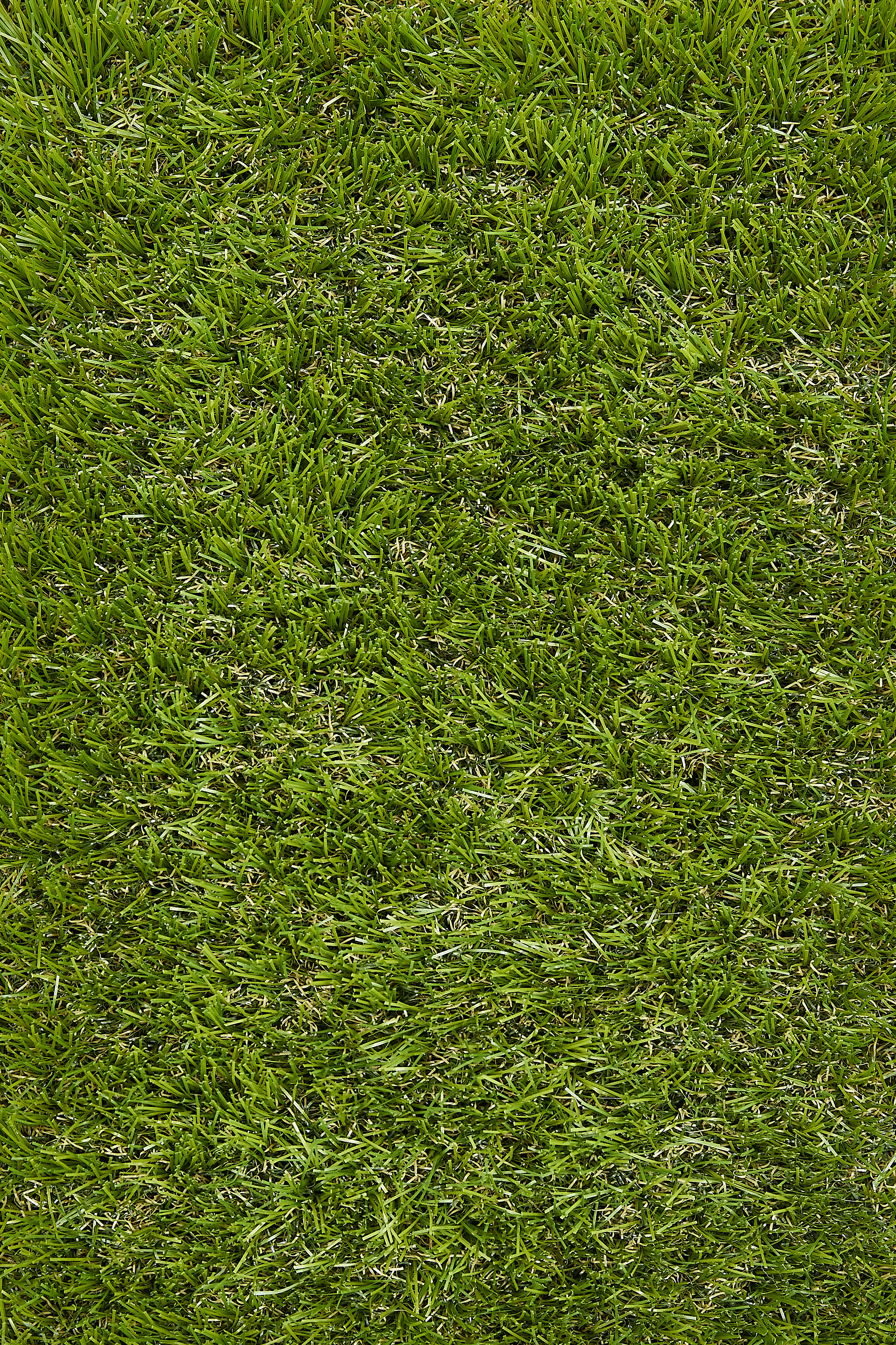 Kunstrasen Madeira getuftet, grün, 2 m,  mit Drainagelöchern