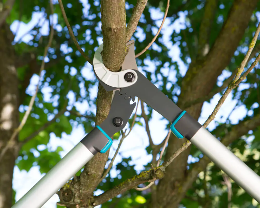 Gardena Astschere EnergyCut 750A bis zu Ø 42 mm Schnittstärke Gardena Astschere EnergyCut 750A bis zu Ø 42 mm Schnittstärke