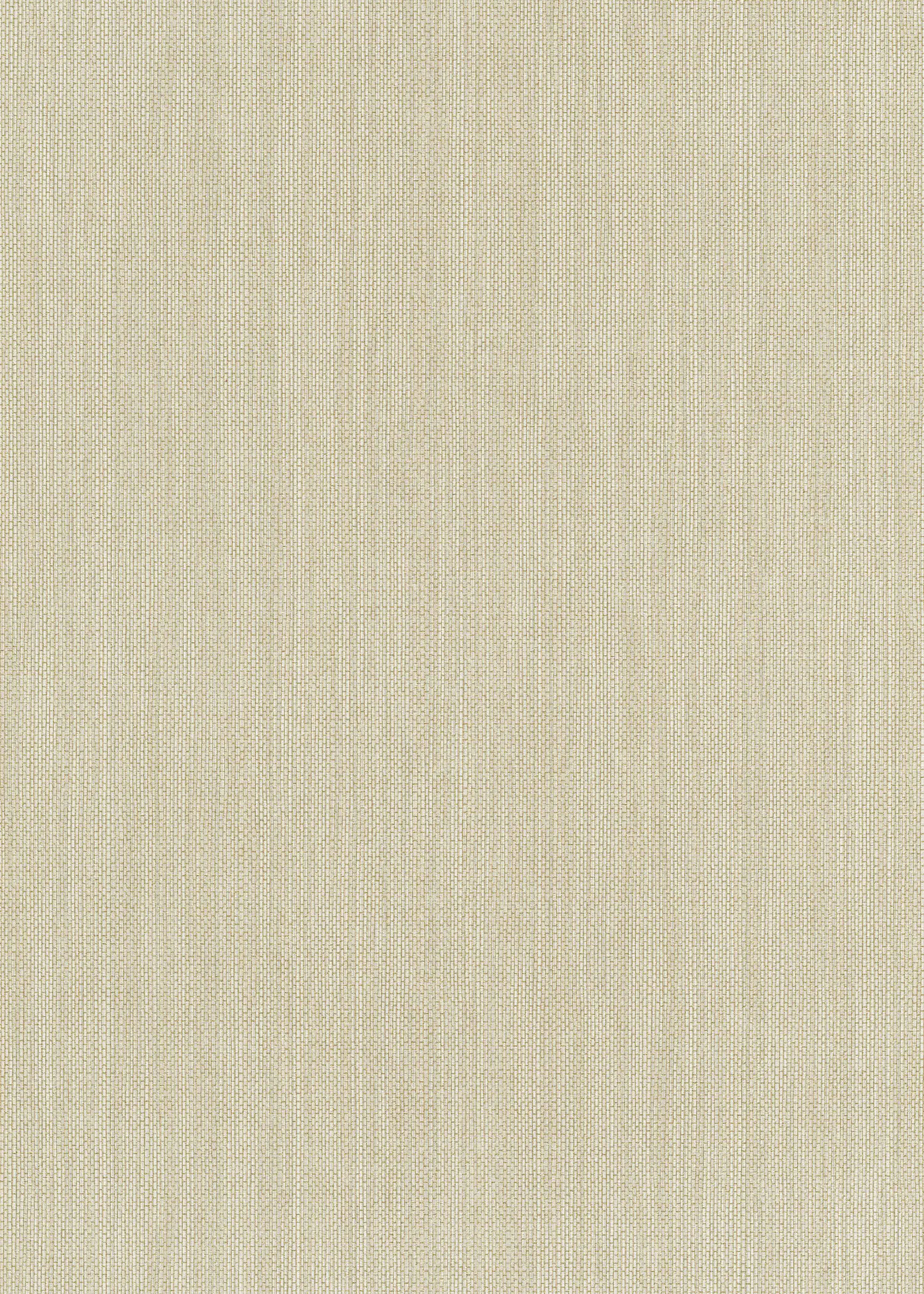 Erismann Vliestapete 6309-02 Paradiso 2 uni beige 10,05 x 0,53 m