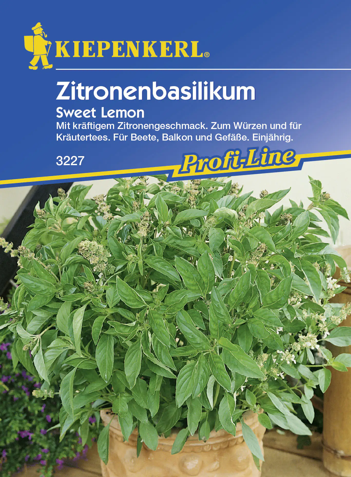 Kiepenkerl Basilikum Sweet Lemon Ocimum basilicum, Inhalt ca. 600