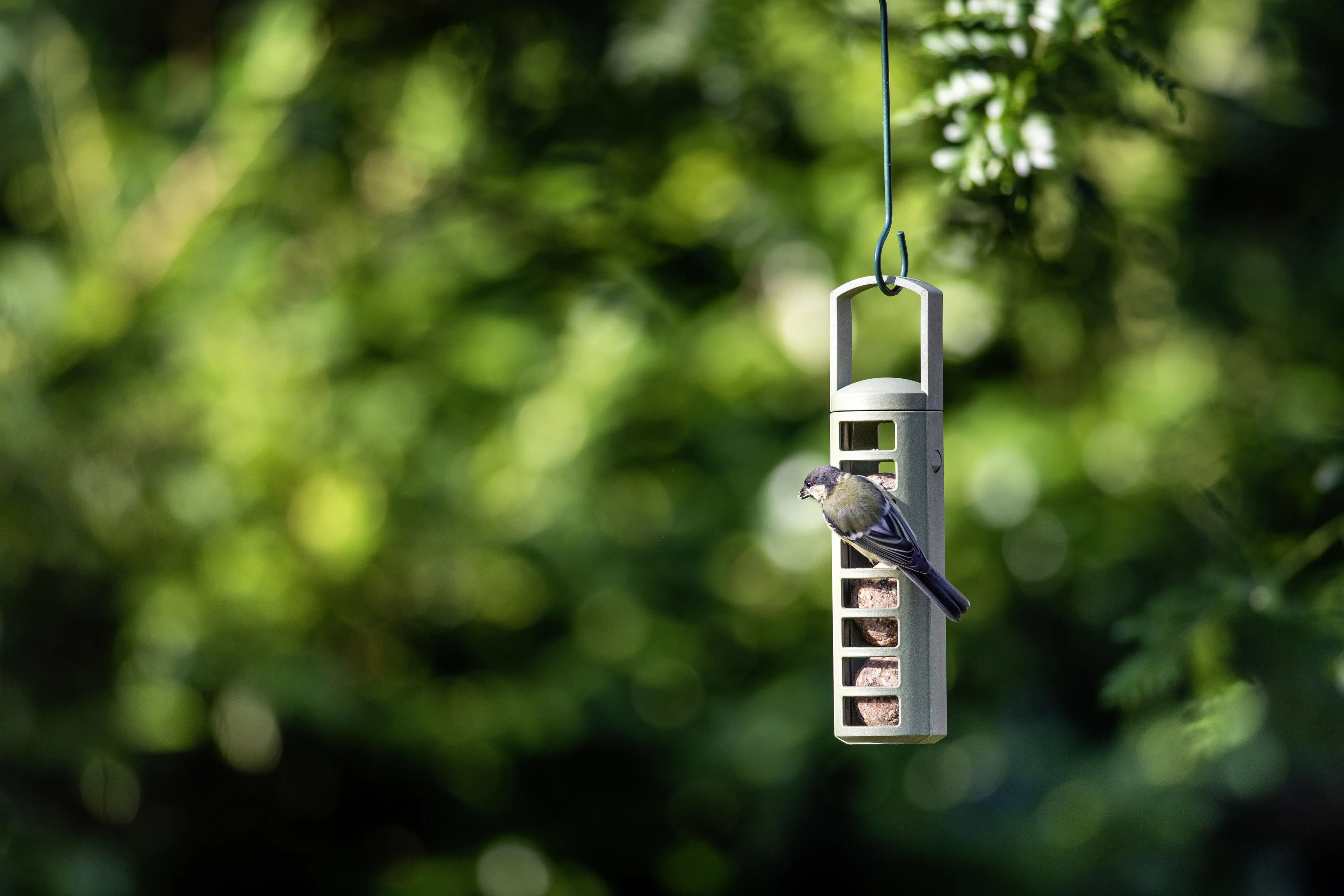 CJ Wildbird Meisenknödelhalter für Wildvögel