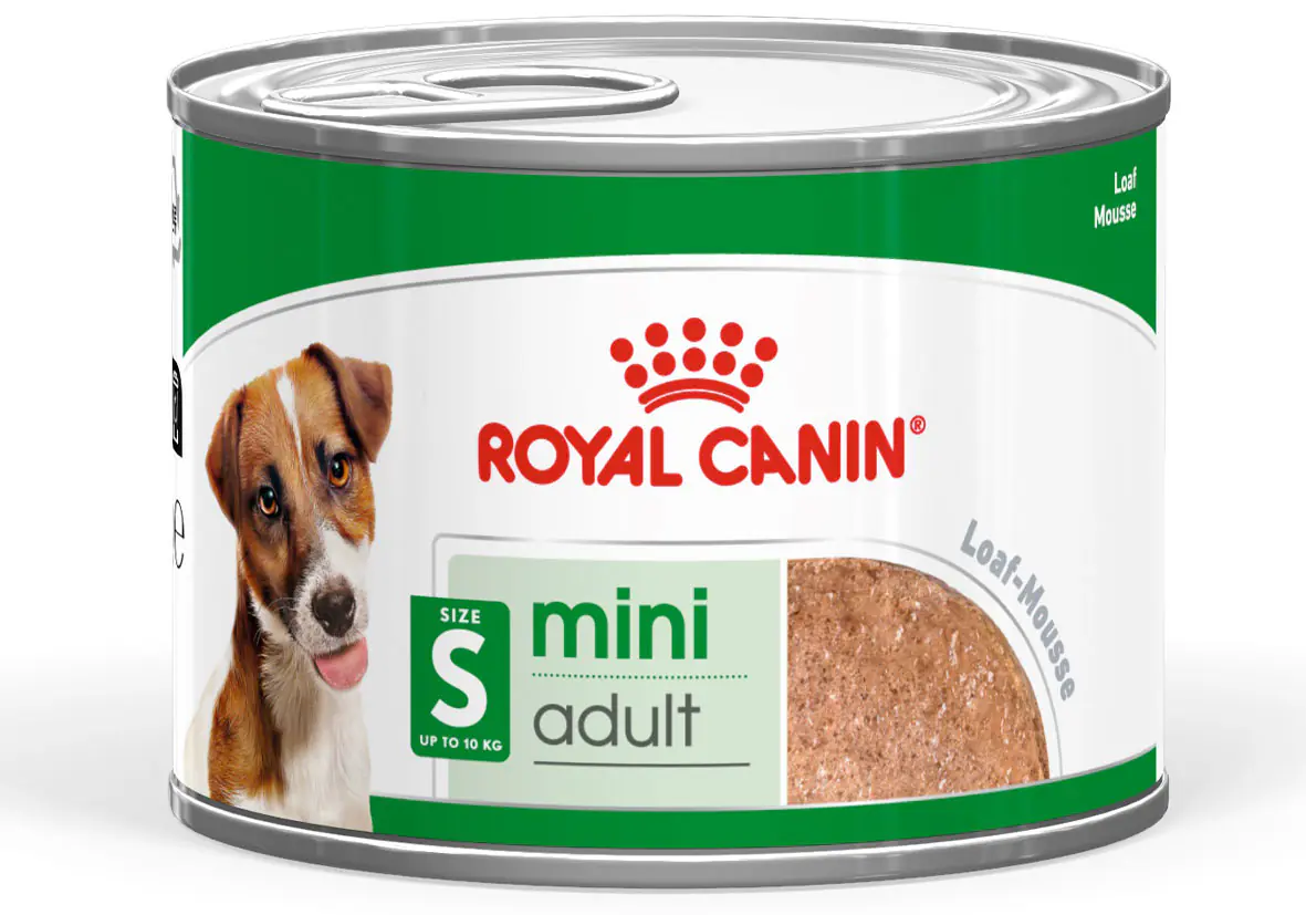 Royal Canin Hundenassfutter Adult 195 g Mini Mousse