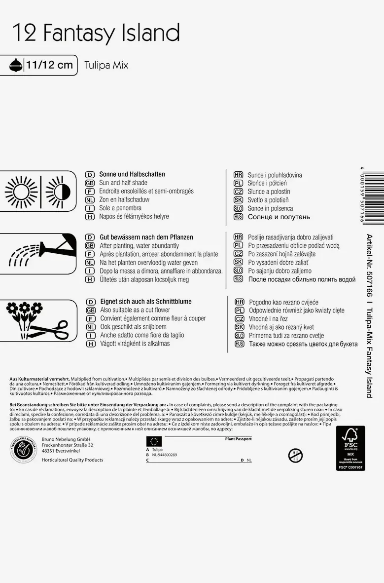 Colour Symphony Fantasy Island Tulipa x Hybrida