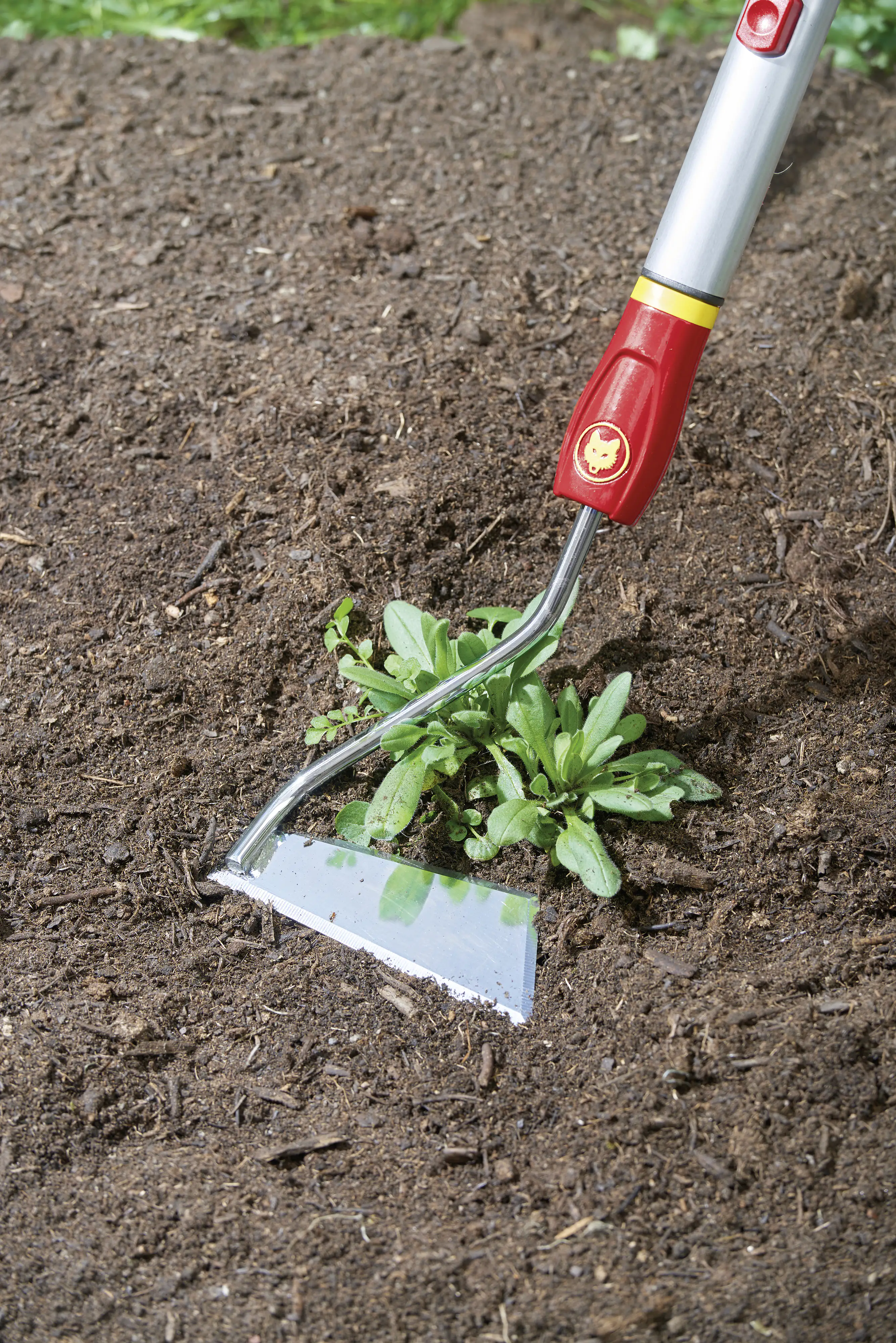 Wolf Garten Jätgerät Multi-Star SH-M 15 cm Arbeitsbreite Wolf Garten Jätgerät Multi-Star SH-M 15 cm Arbeitsbreite