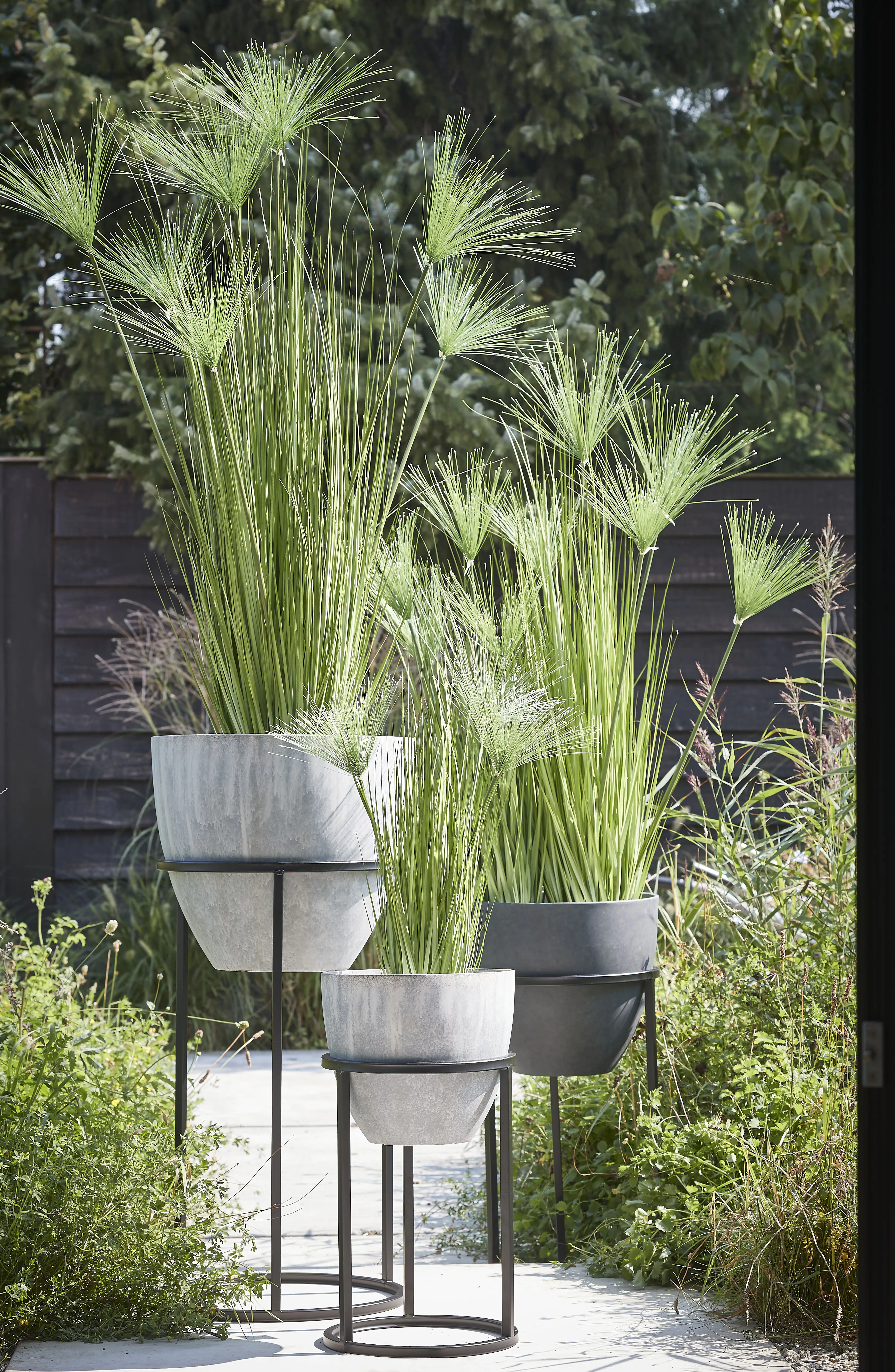 8718861389036_2 Mica Kunstpflanze Papyrus grün im Topf 102 x 15 cm